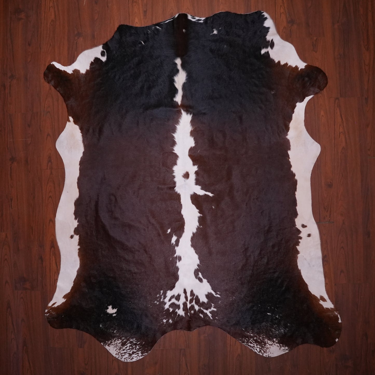 AA Grade Nguni Hide 627 (Tricolor) (L)