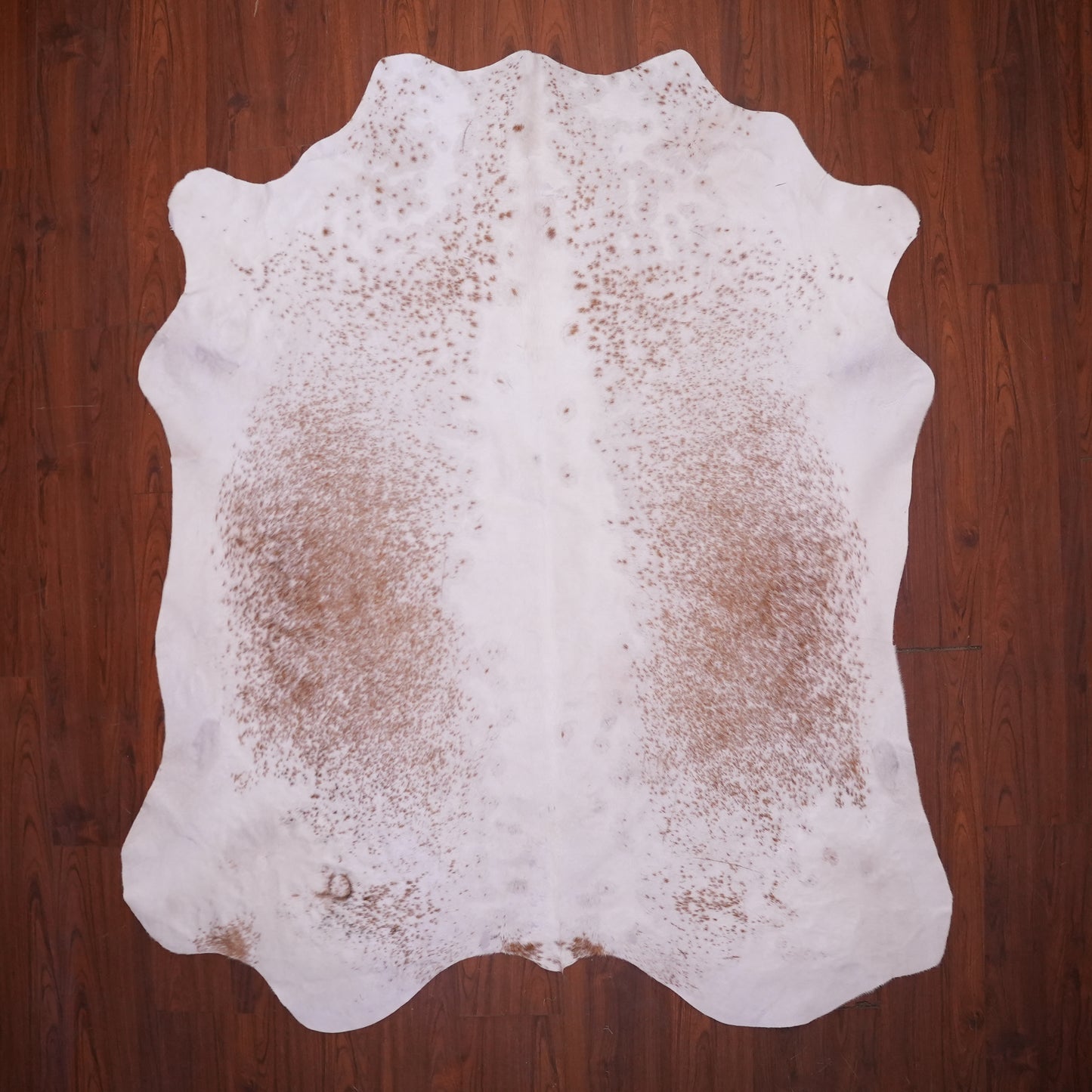 AS Grade Nguni Hide 625 (Brown/White) (L)