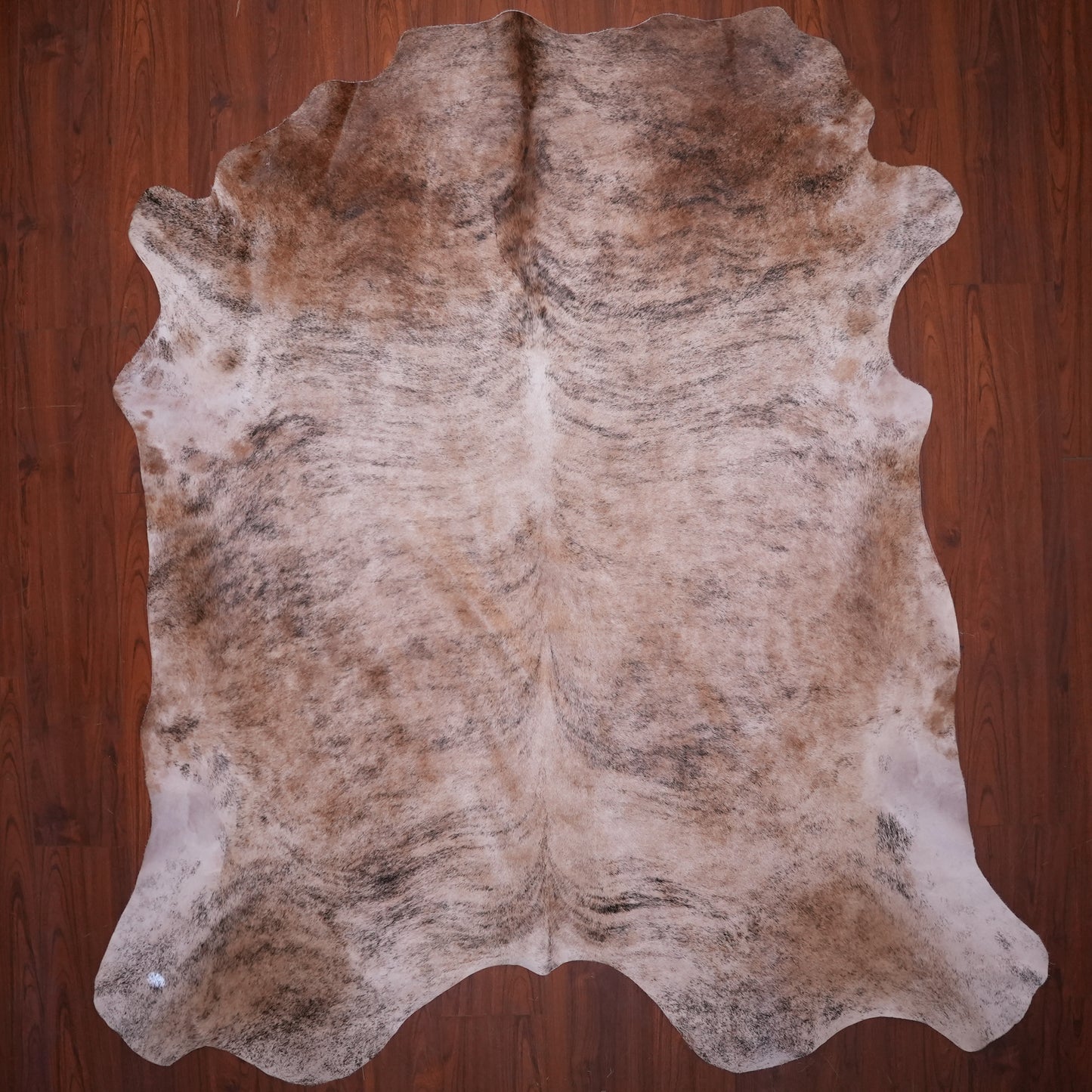 AS Grade Nguni Hide 643 (Tricolor) (XL)