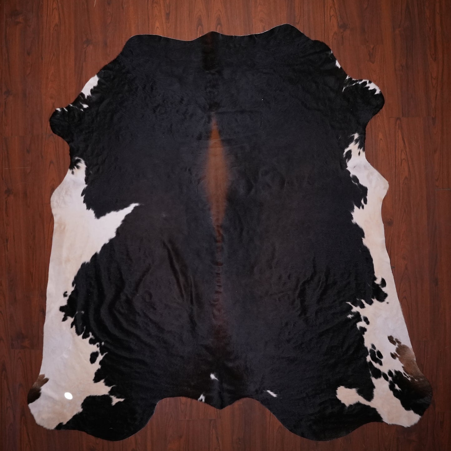 AA Grade Nguni Hide 623 (Tricolor) (XL)