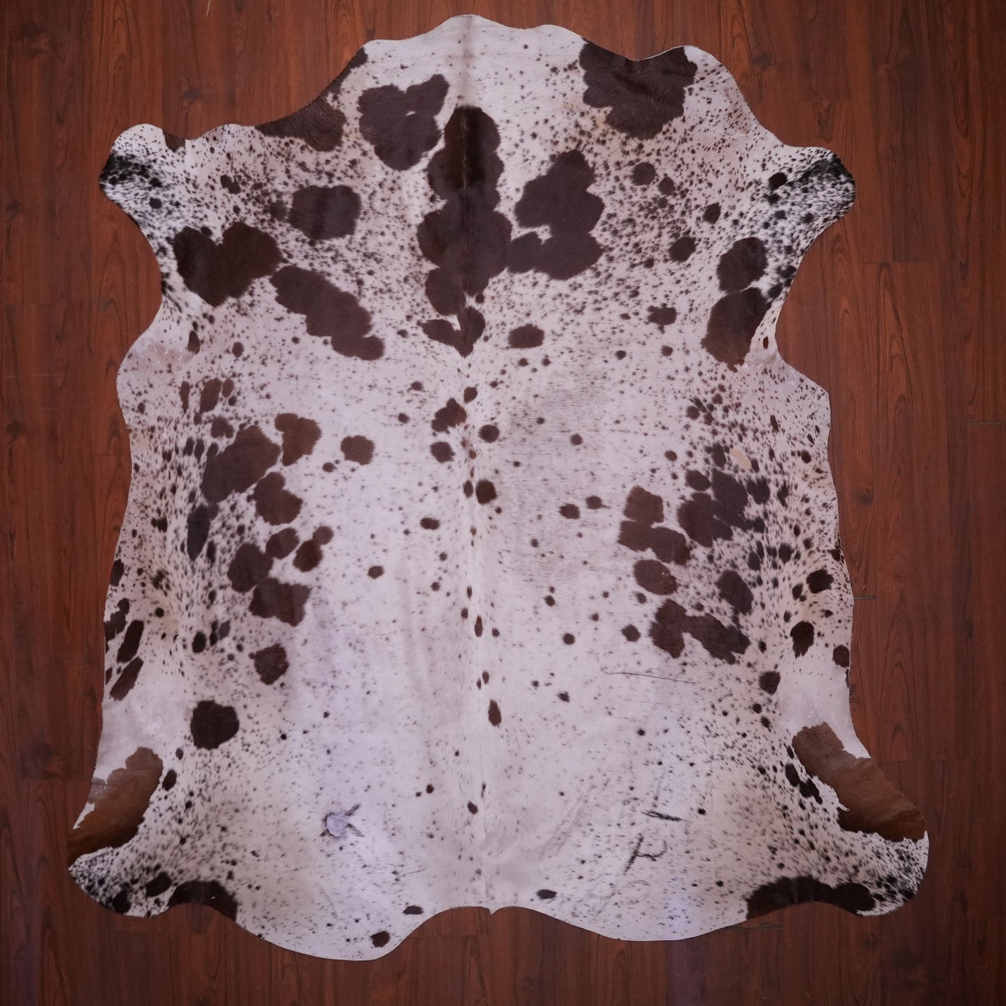 AS Grade Nguni Hide 641 (Brown/White) (XL)