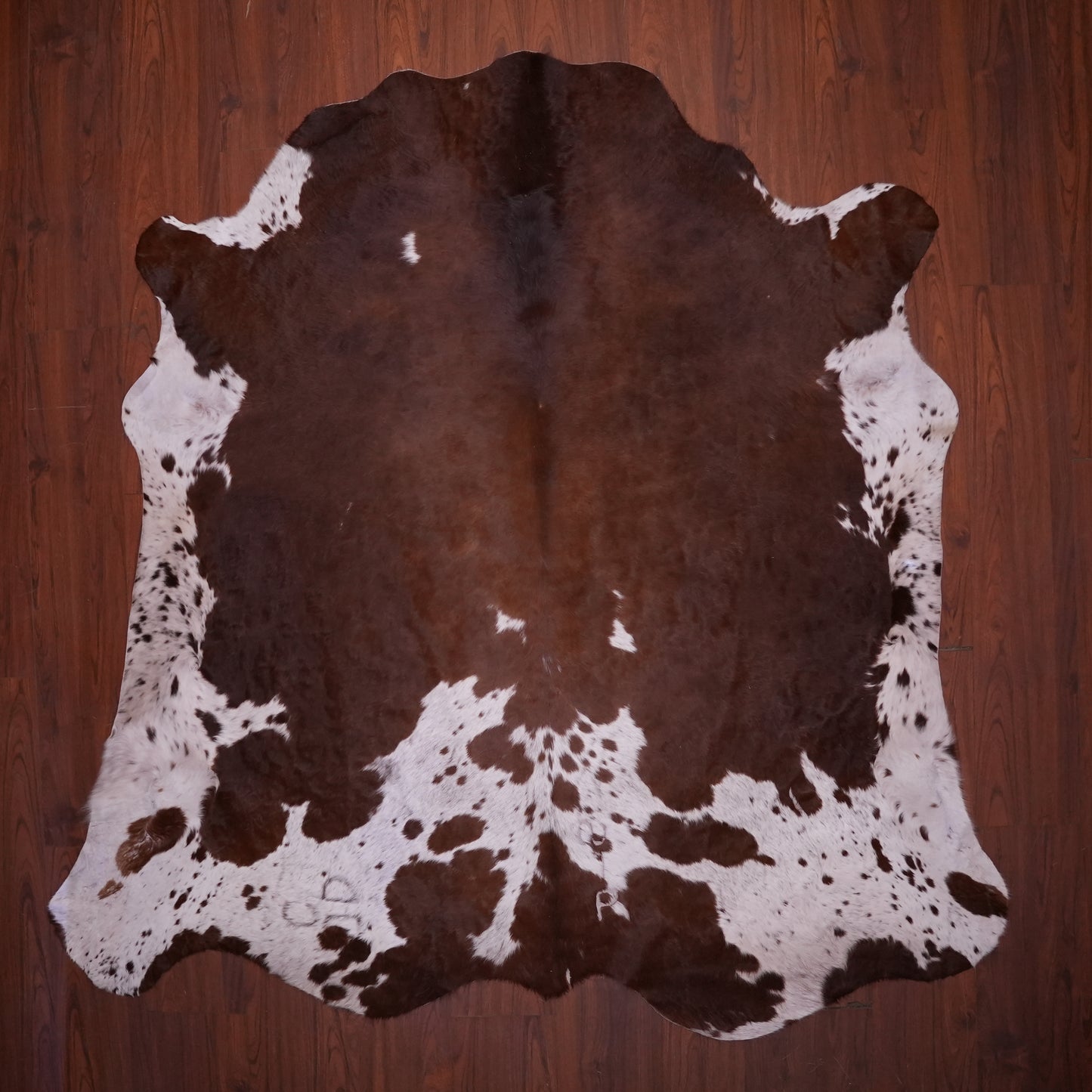 AS Grade Nguni Hide 635 (Brown/White) (L)