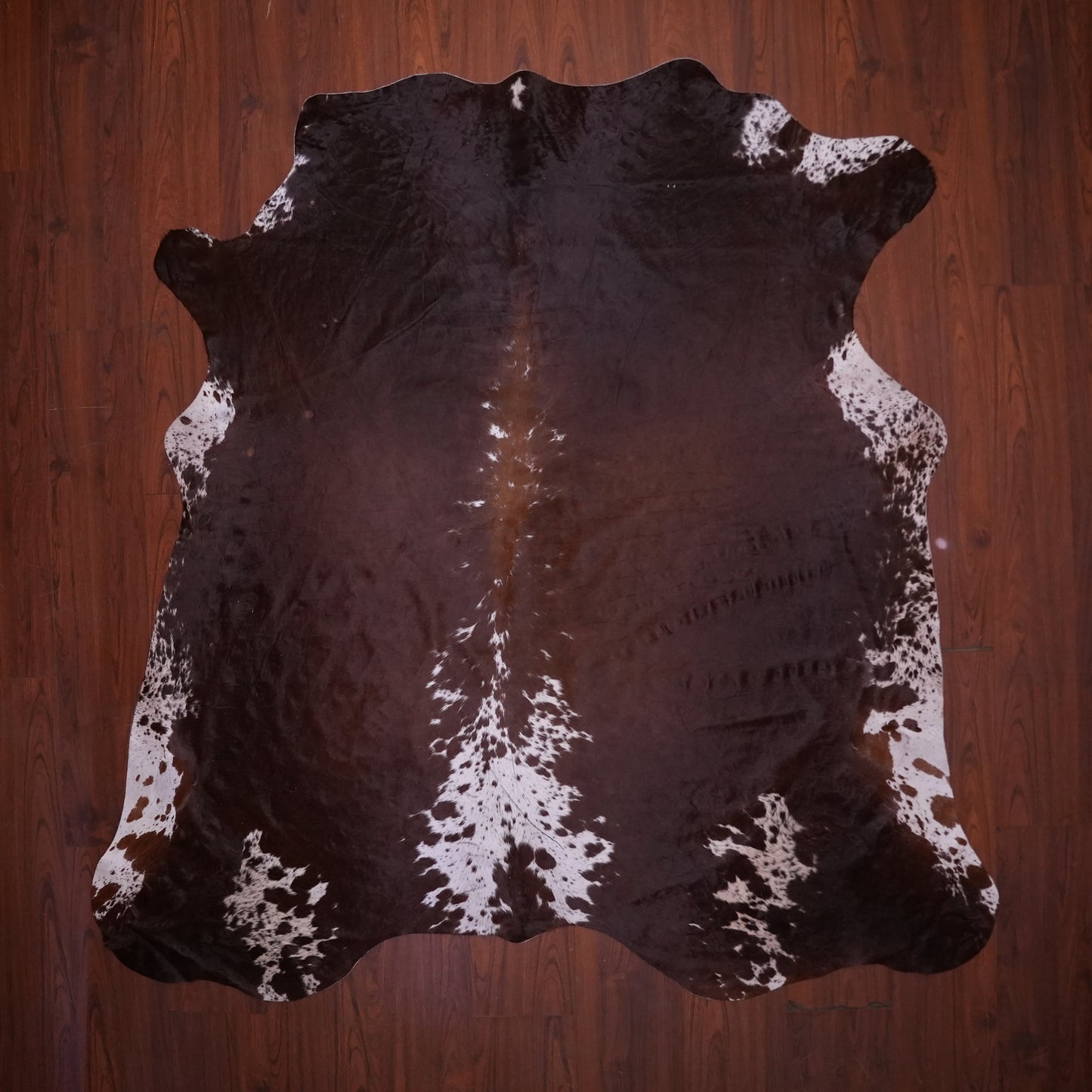 AS Grade Nguni Hide 637 (Brown/White) (L)