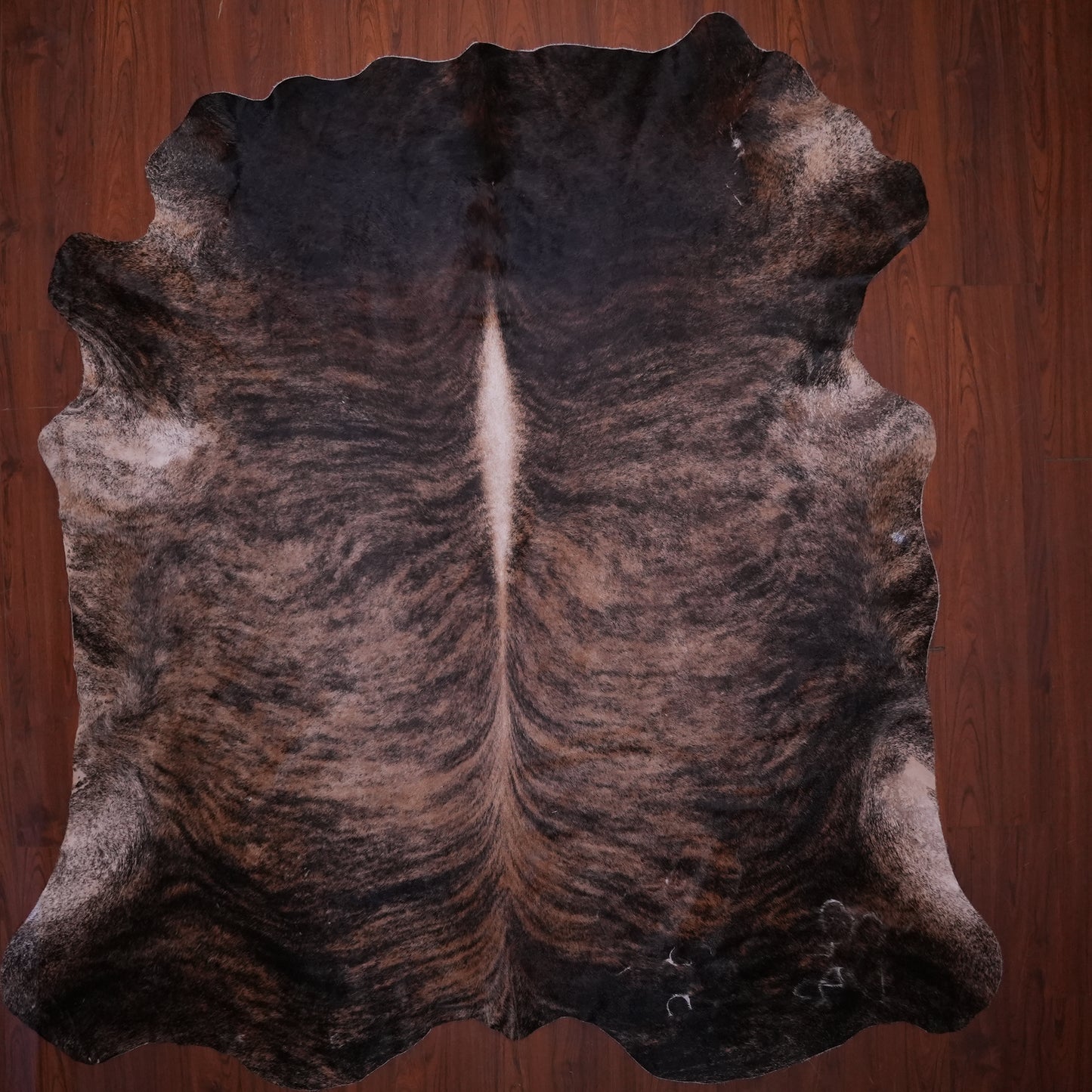 AS Grade Nguni Hide 638 (Tricolor) (XL)