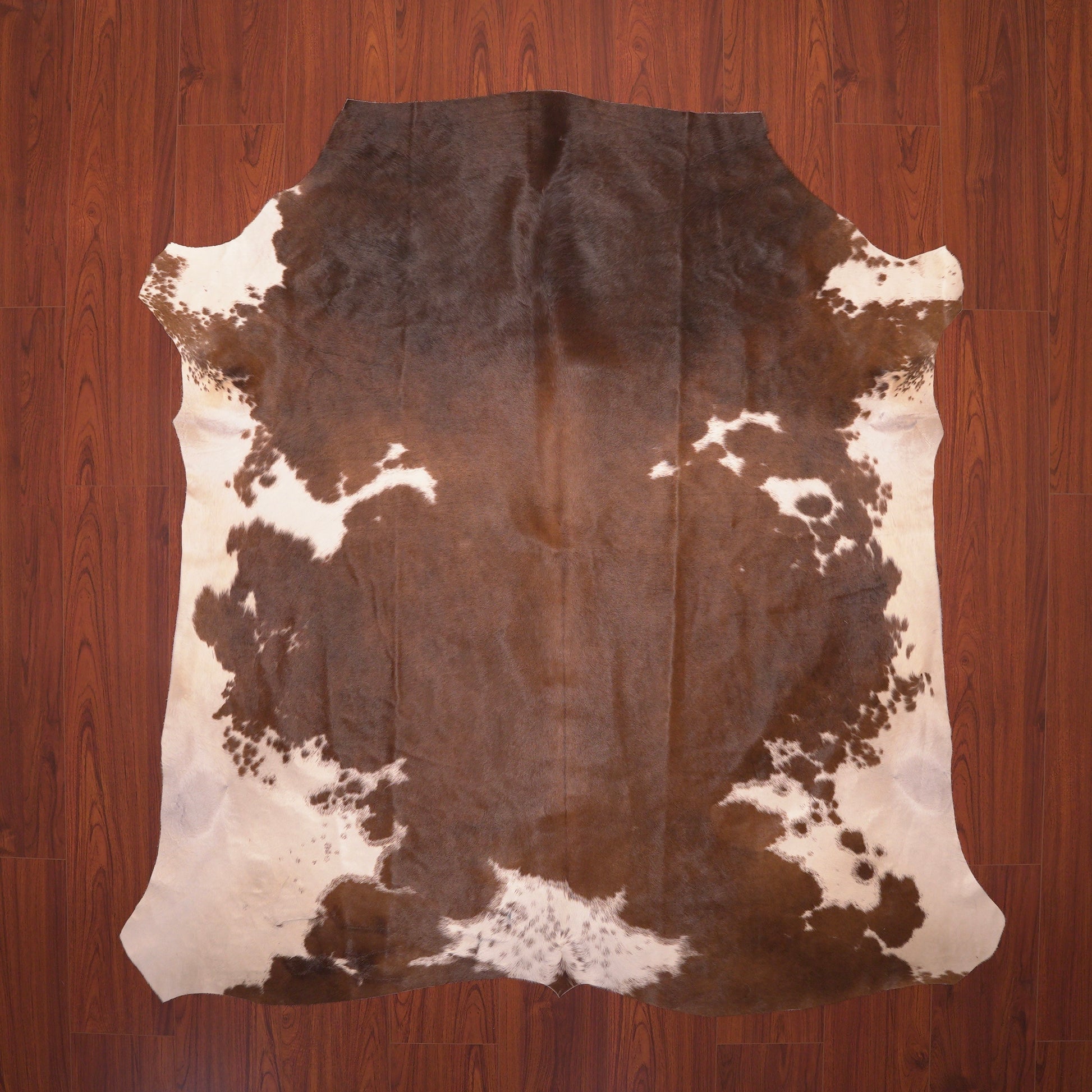 Nguni guy brown and white cow skin hide rug
