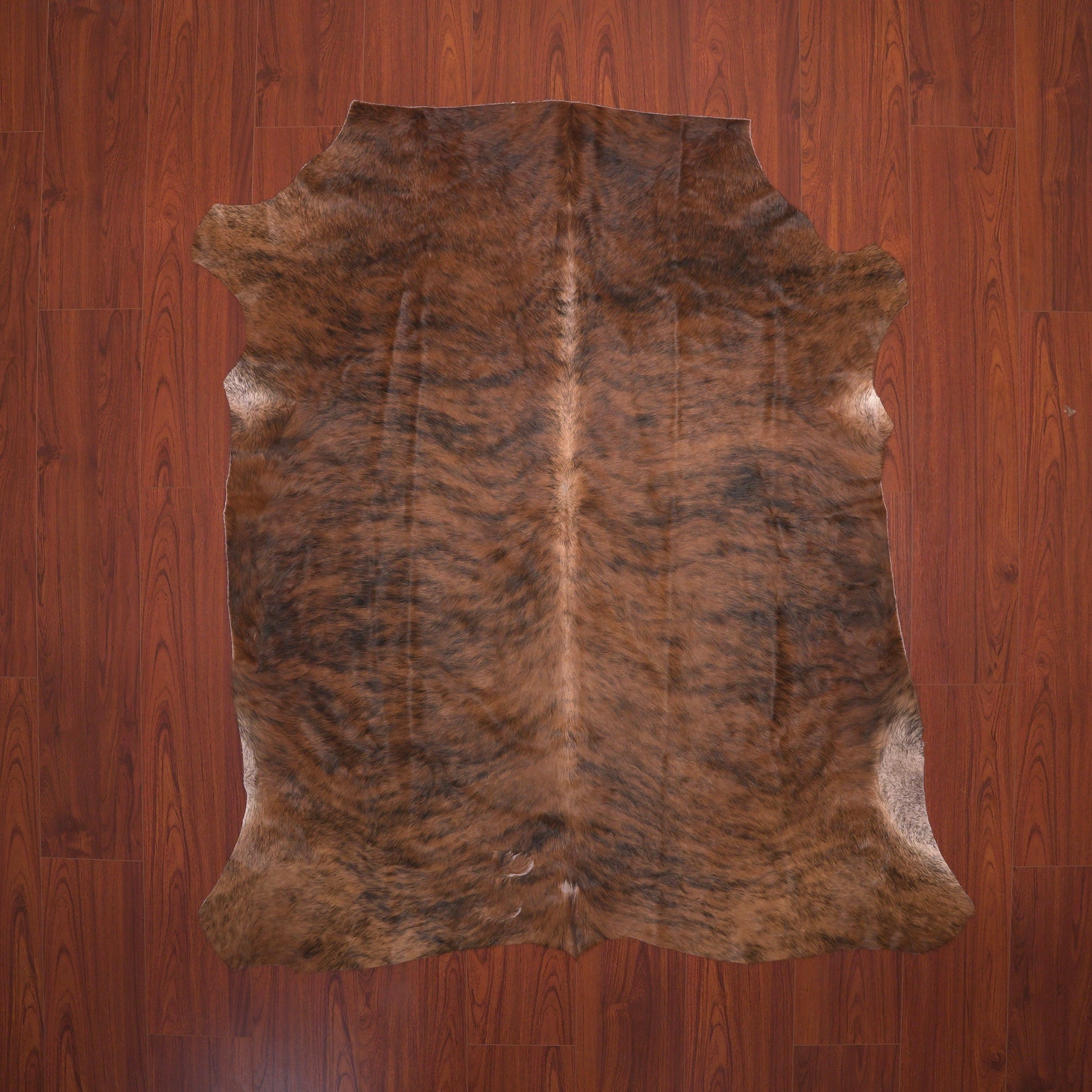 nguni guy hide skin rug brindle tricolour