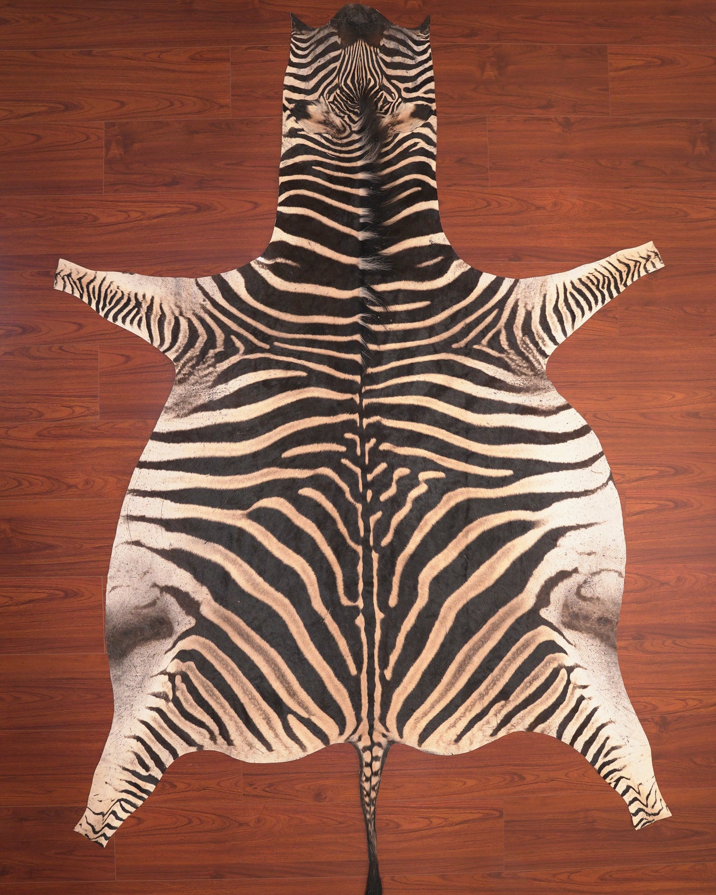 A Grade Zebra Hide 72 (M)