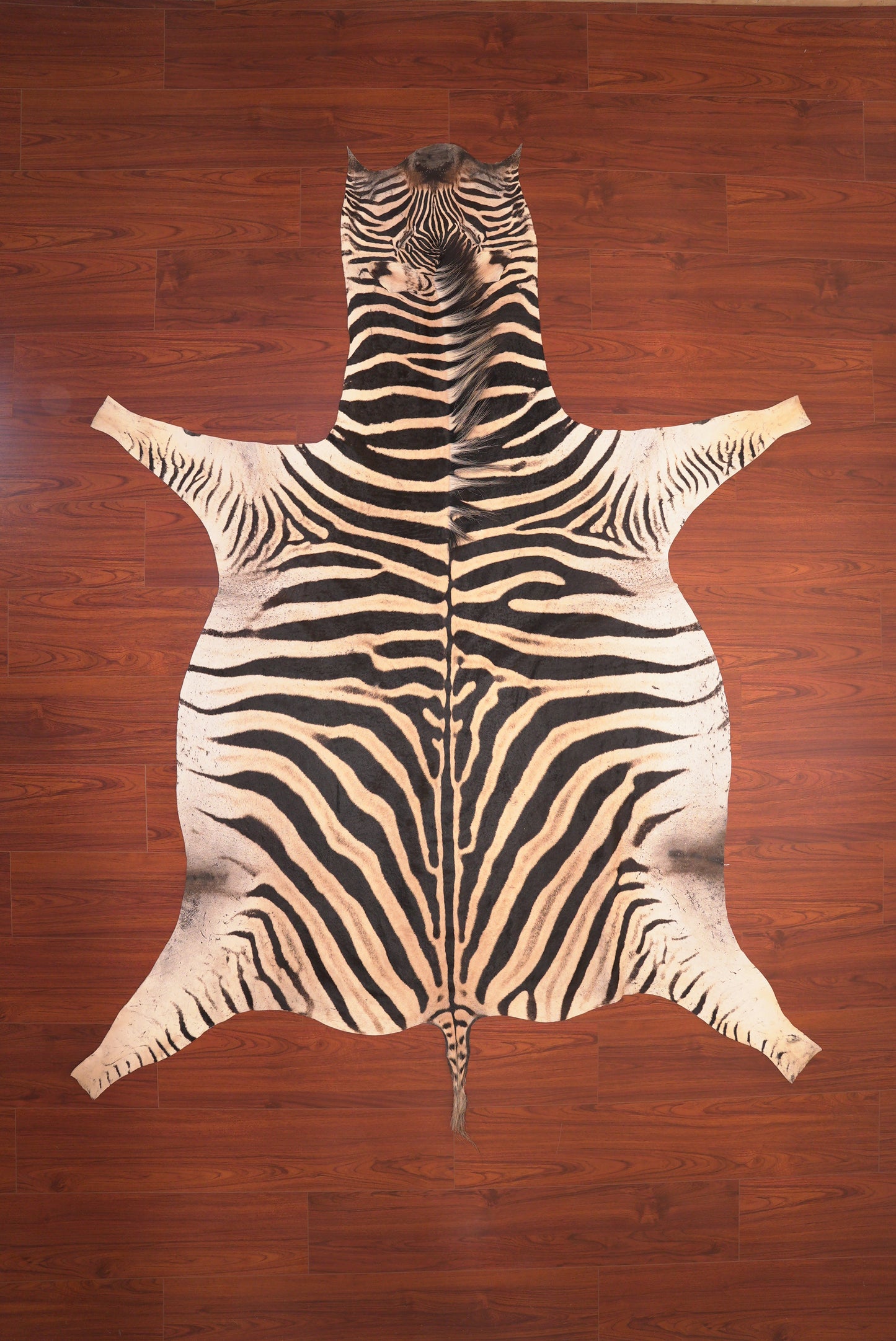 A Grade Zebra Hide 82 (L)