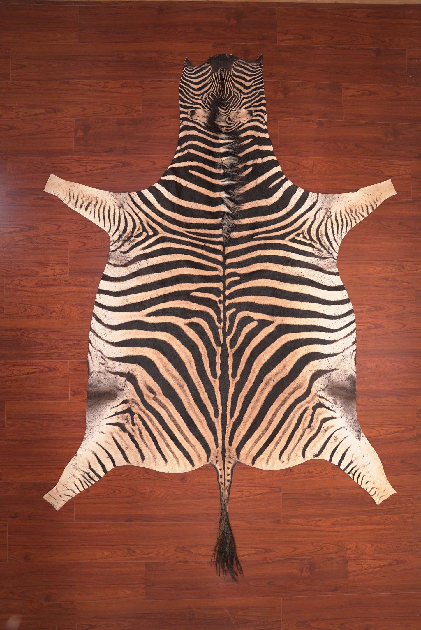 A Grade Zebra Hide 106 (L)