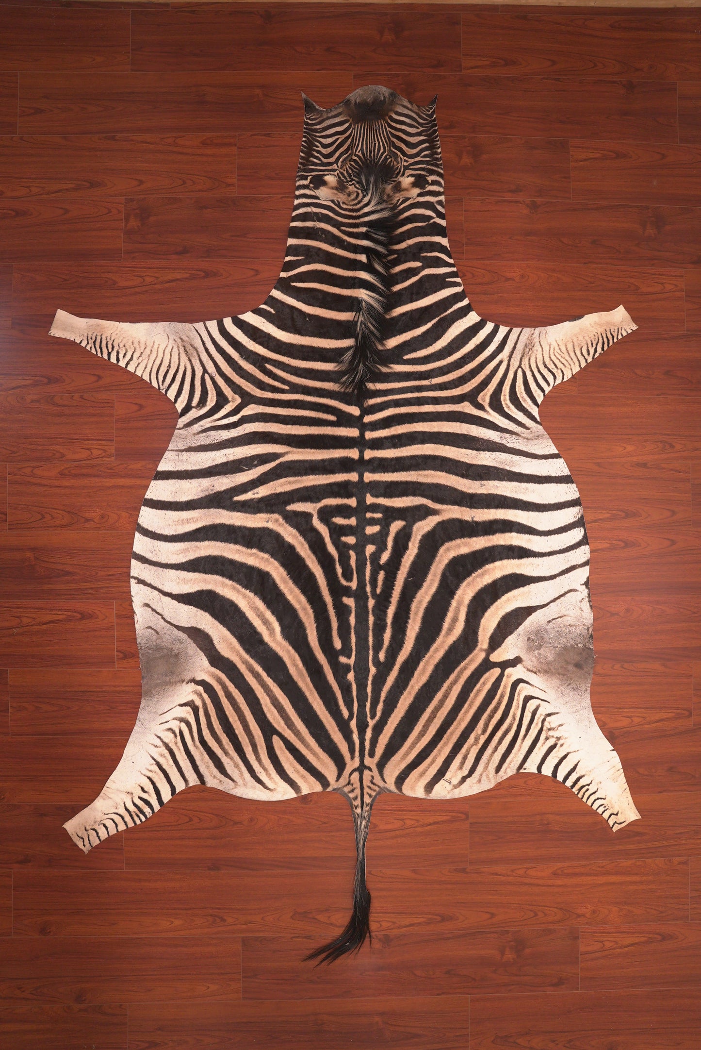 AA Grade Zebra Hide 111 (L)