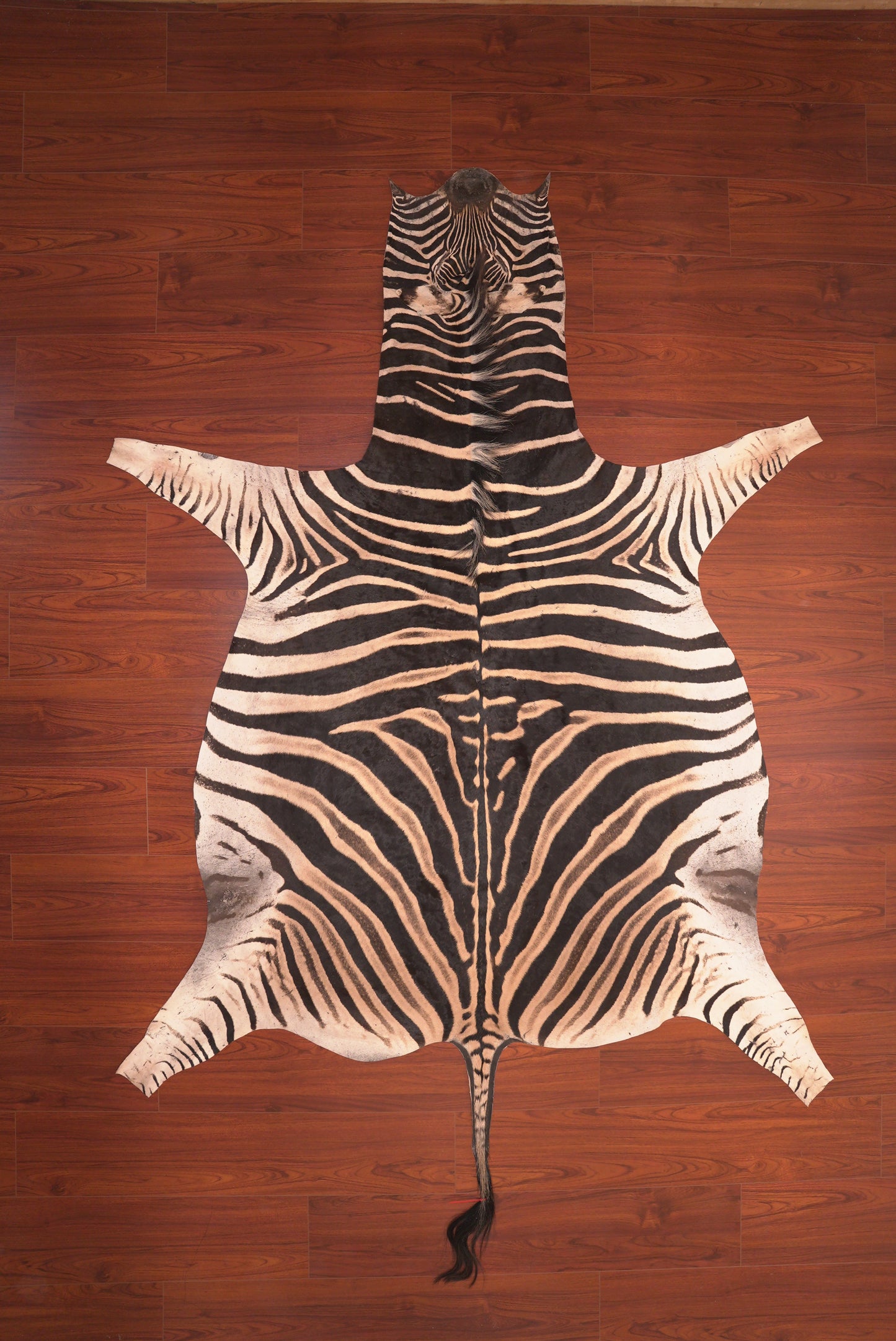 AA Grade Zebra Hide 117 (L)