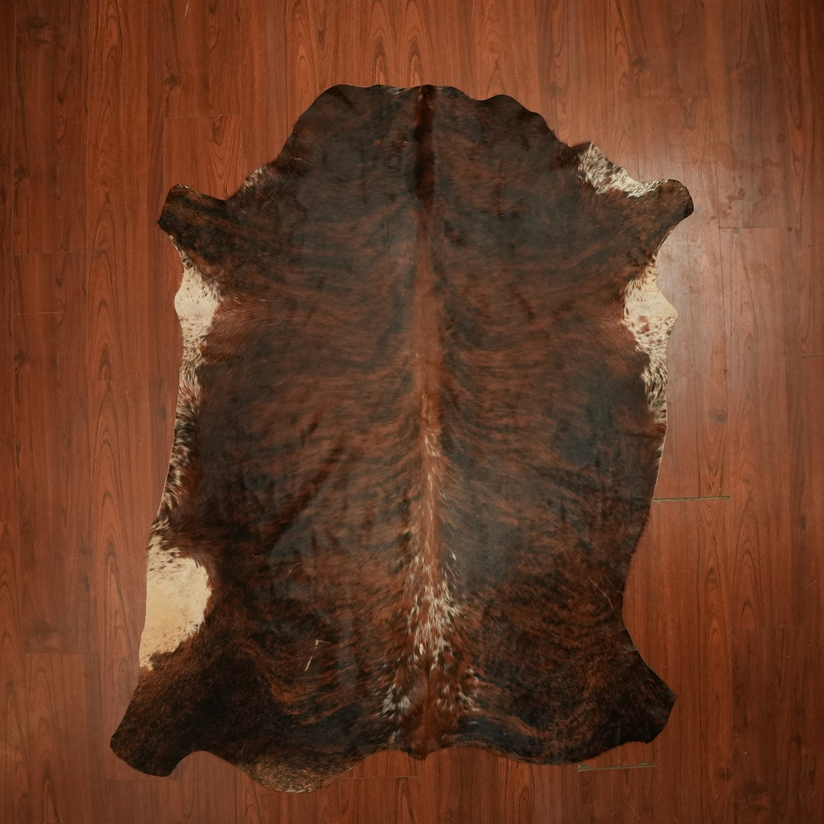 Nguni hide rug in dark chestnut brindle, 216 x 172 cm, genuine Nguni cow hide