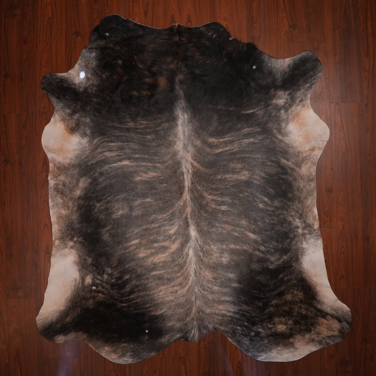Nguni hide rug in dark tiger-striped brindle, 233 x 209 cm, genuine Nguni cow hide