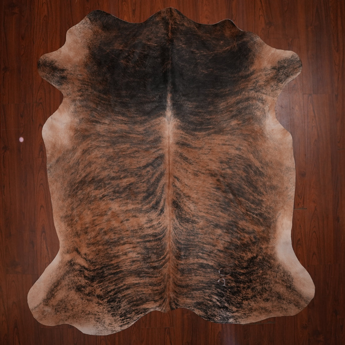 Nguni hide rug in dark-shouldered brindle, 239 x 205 cm, genuine Nguni cow hide