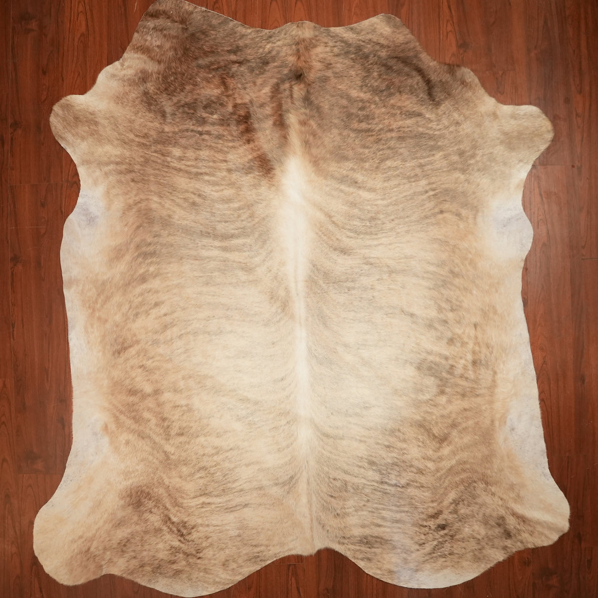 Nguni hide rug in soft blonde brindle, 253 x 226 cm, genuine Nguni cow hide