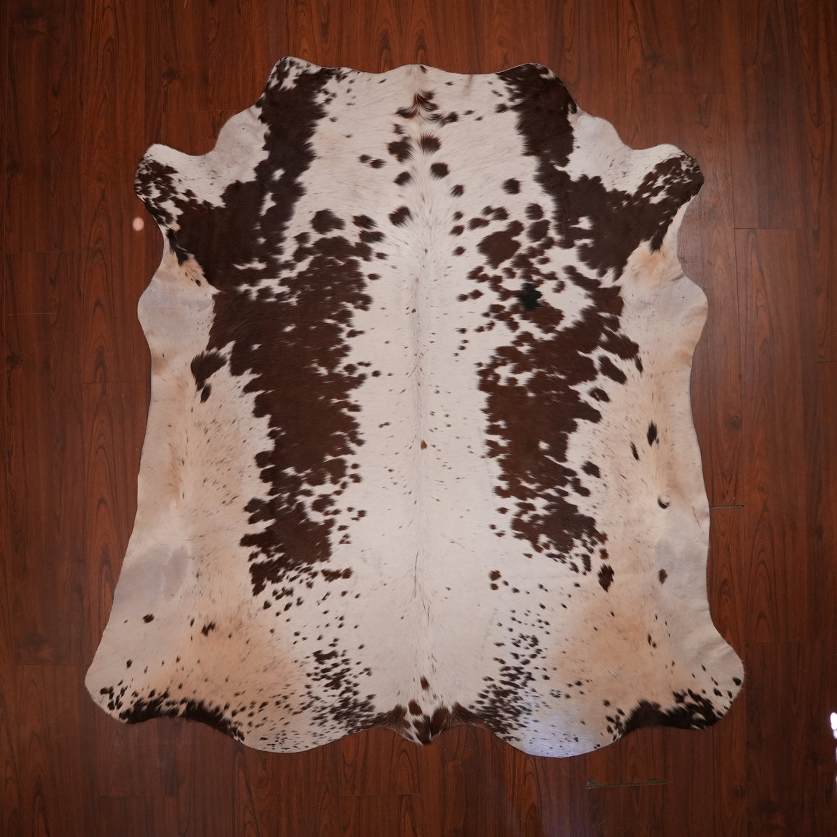 Nguni hide rug in chocolate patched brown, 206 x 193 cm, genuine Nguni cow hide