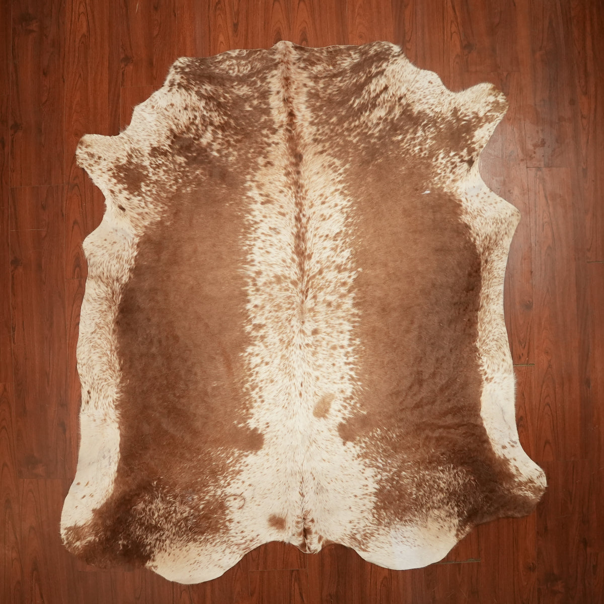 Nguni hide rug in speckled chestnut brown, 223 x 204 cm, genuine Nguni cow hide