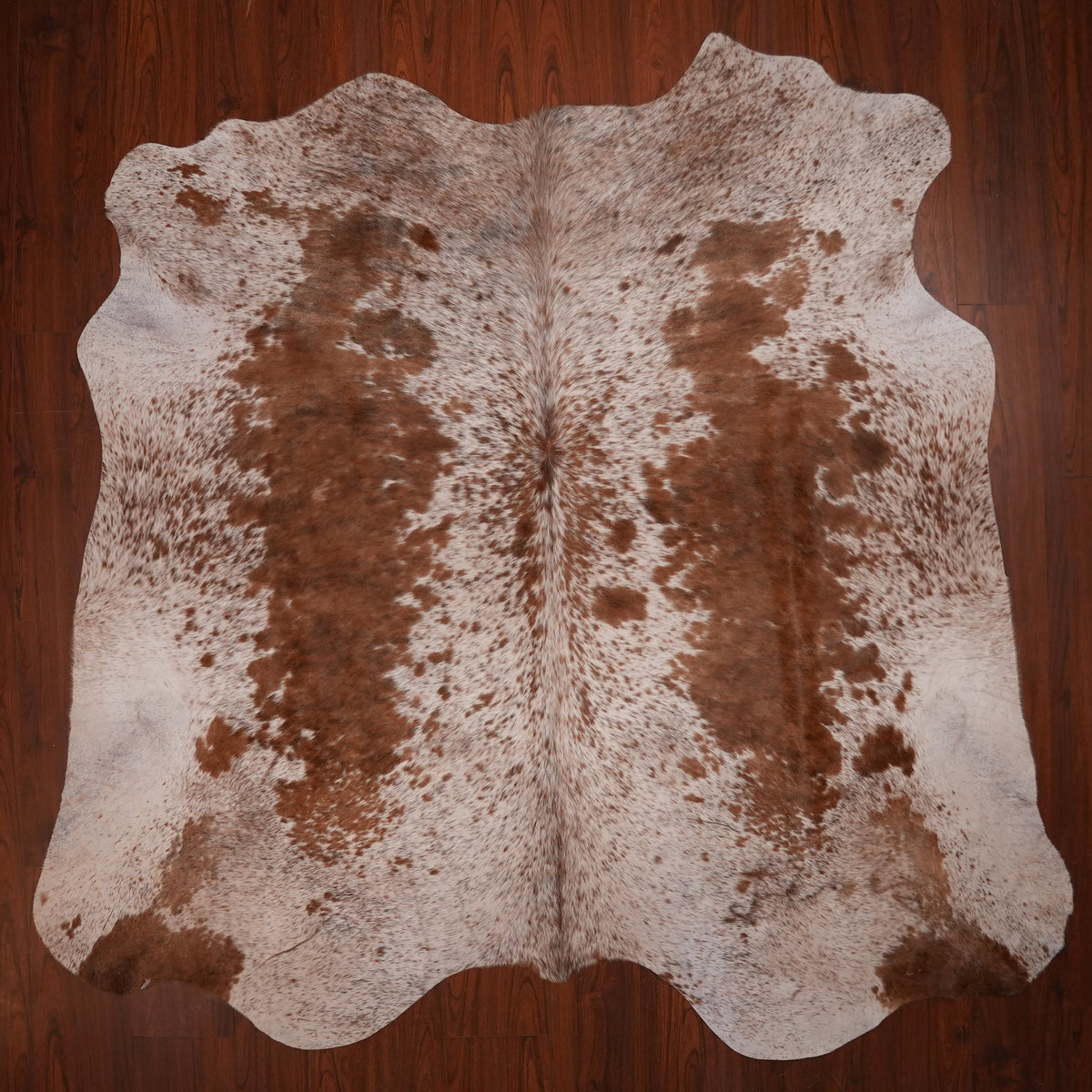 Nguni hide rug in speckled chestnut brown, 224 x 239 cm, genuine Nguni cow hide