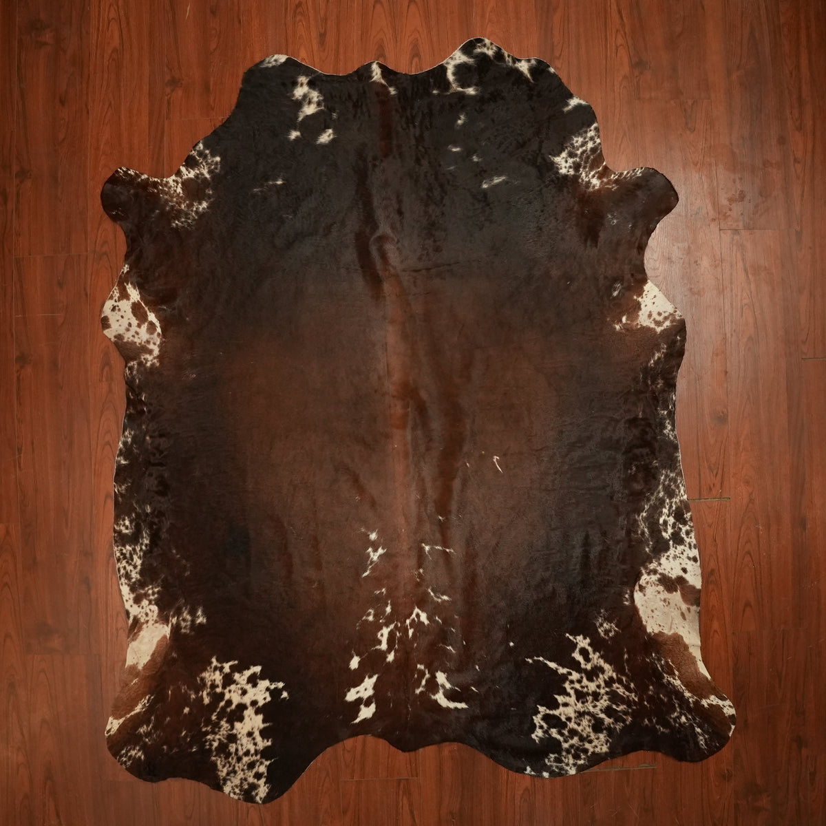 Nguni hide rug in dark espresso brown, 229 x 193 cm, genuine Nguni cow hide