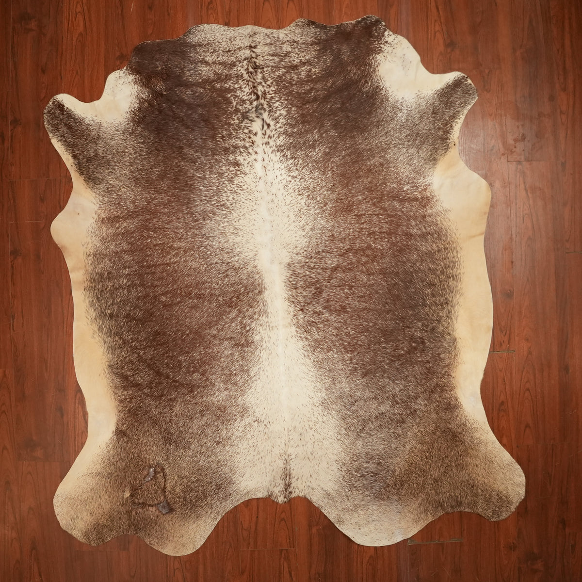 Nguni hide rug in salt-and-pepper brown, 230 x 205 cm, genuine Nguni cow hide