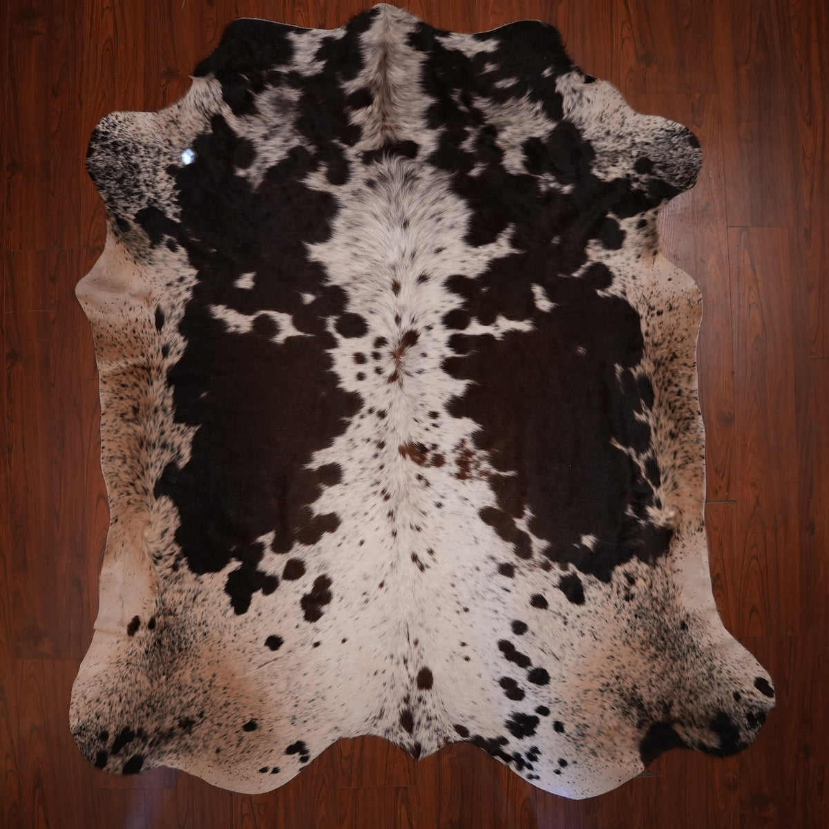 Nguni hide rug in high-contrast brown, 231 x 213 cm, genuine Nguni cow hide