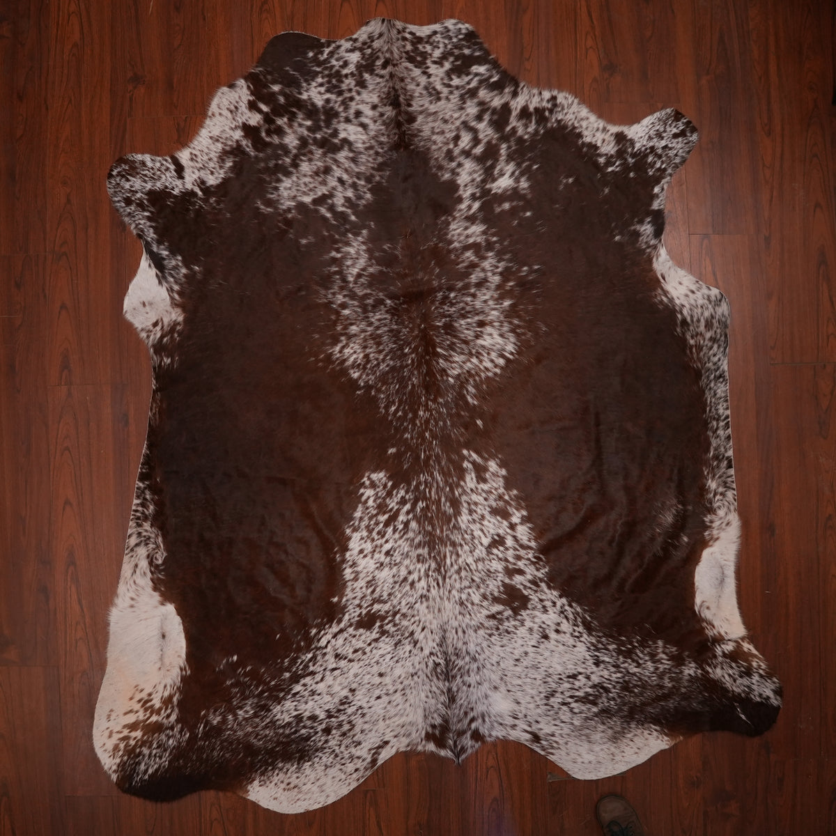 Nguni hide rug in speckled chocolate brown, 236 x 205 cm, genuine Nguni cow hide