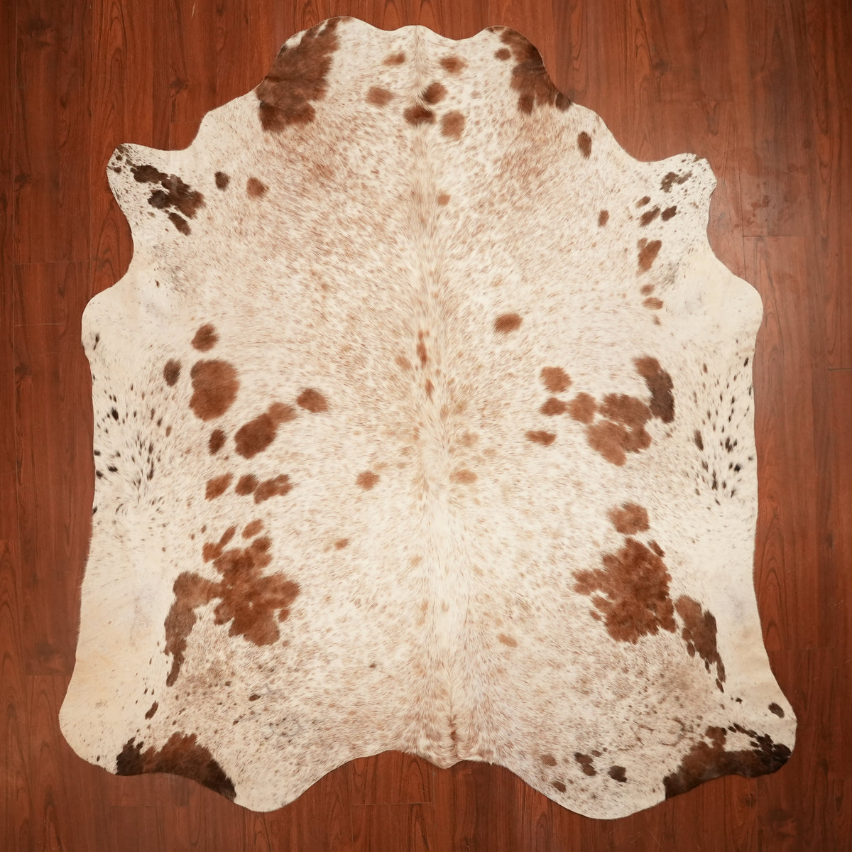 Nguni hide rug in speckled brown, 236 x 219 cm, genuine Nguni cow hide