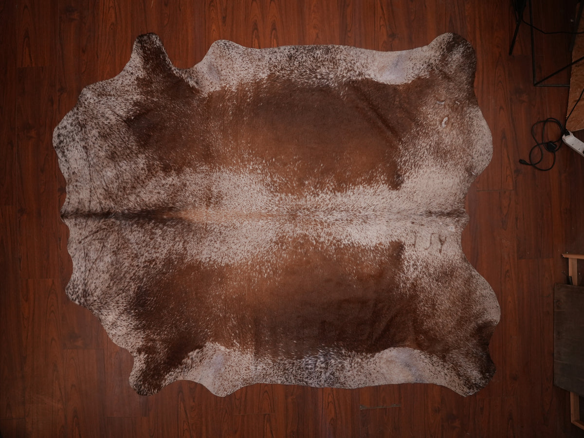 Nguni hide rug in speckled chestnut brown, 251 x 215 cm, genuine Nguni cow hide