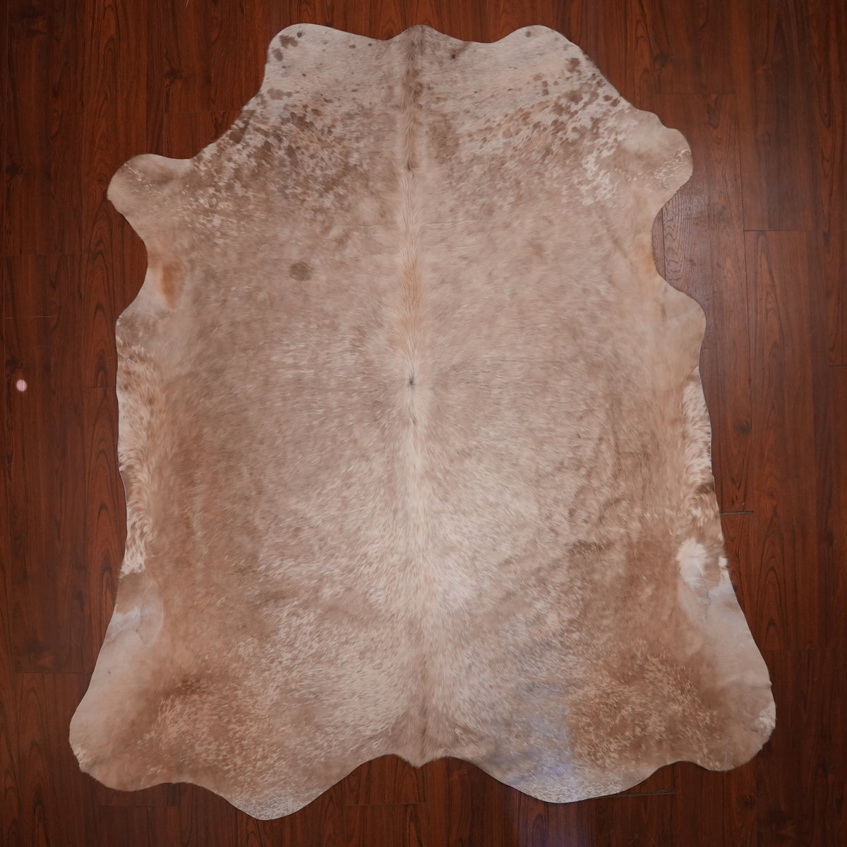 Nguni hide rug in softly speckled caramel, 234 x 208 cm, genuine Nguni cow hide