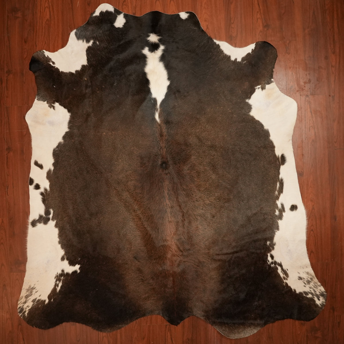 Nguni hide rug in dark chocolate dun, 241 x 227 cm, genuine Nguni cow hide