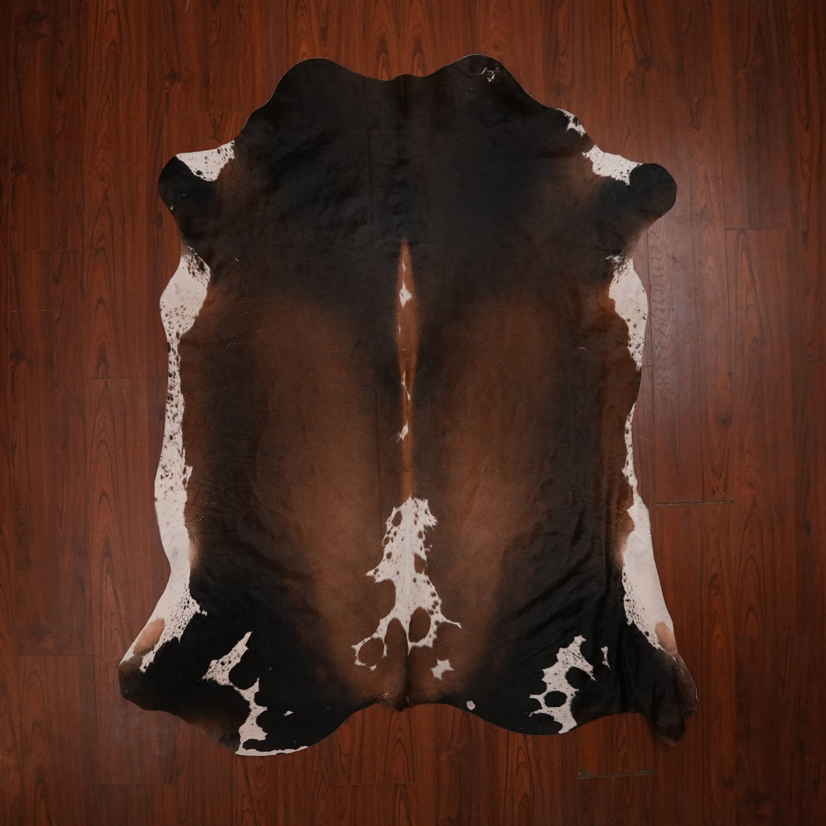 Nguni hide rug in dark chocolate tri-colour, 206 x 177 cm, genuine Nguni cow hide