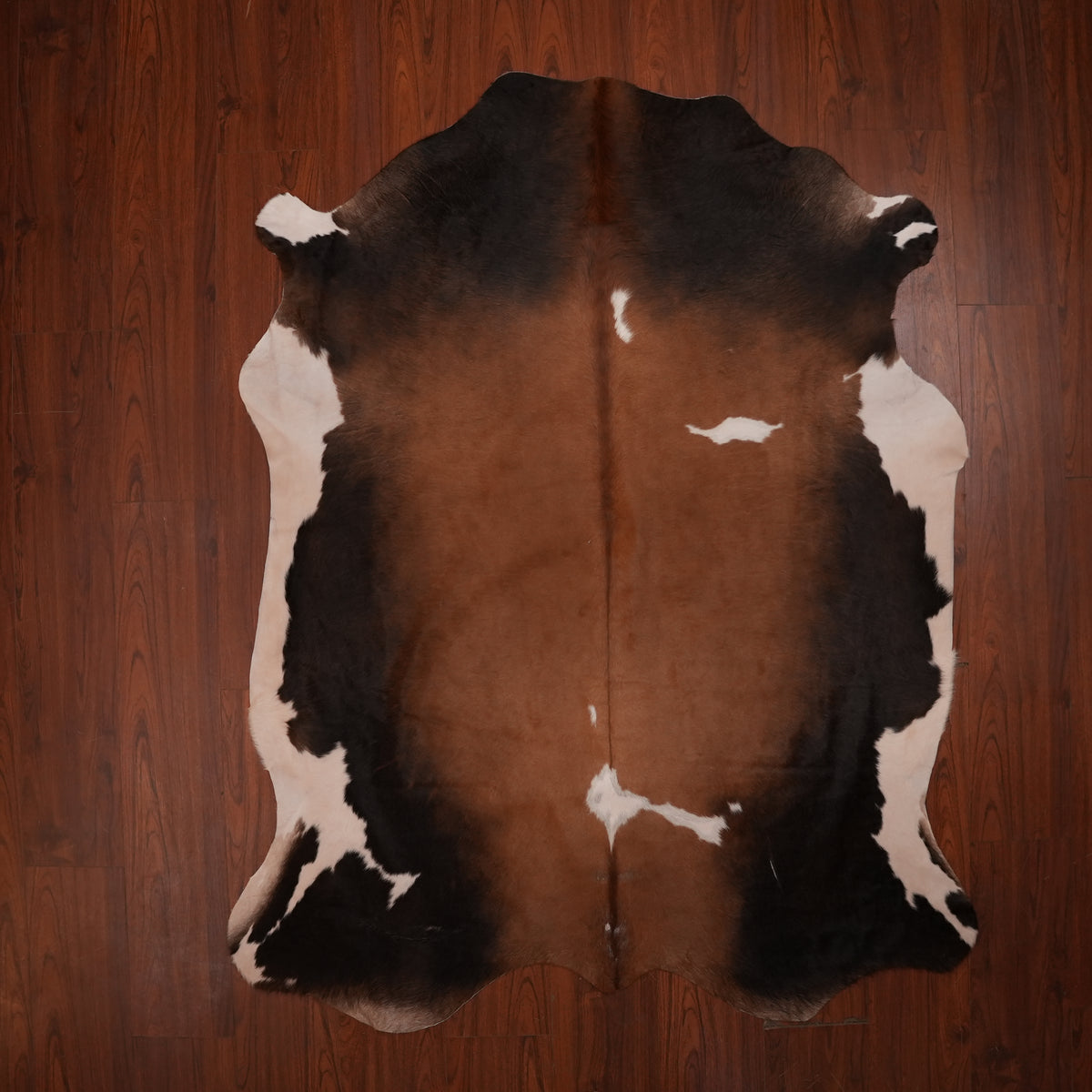 Nguni hide rug in rich chestnut tri-colour, 219 x 170 cm, genuine Nguni cow hide