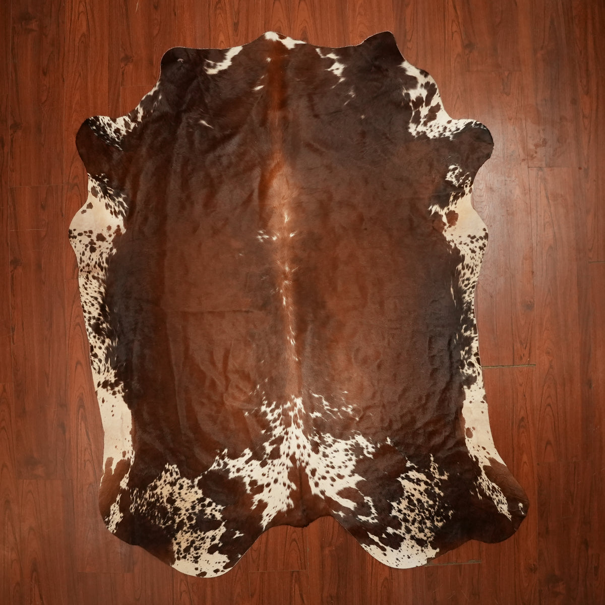 Nguni hide rug in chocolate speckled tri-colour, 220 x 178 cm, genuine Nguni cow hide