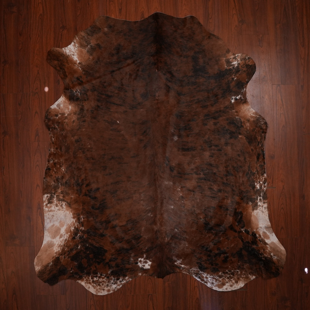 Nguni hide rug in rich brindle tri-colour, 222 x 200 cm, genuine Nguni cow hide