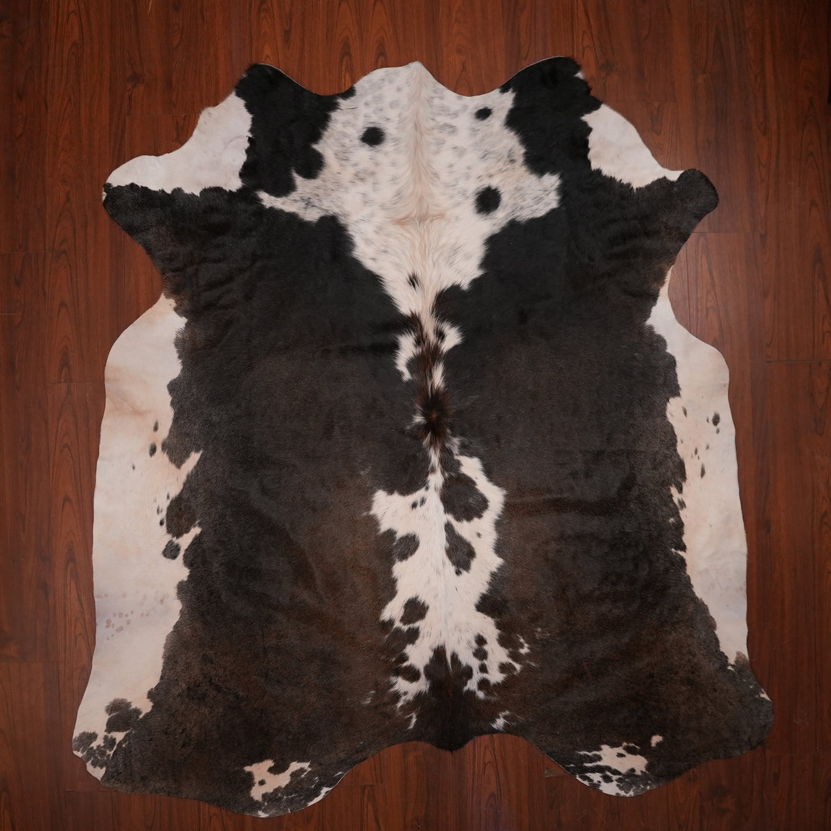 Nguni hide rug in high-contrast tri-colour, 226 x 215 cm, genuine Nguni cow hide