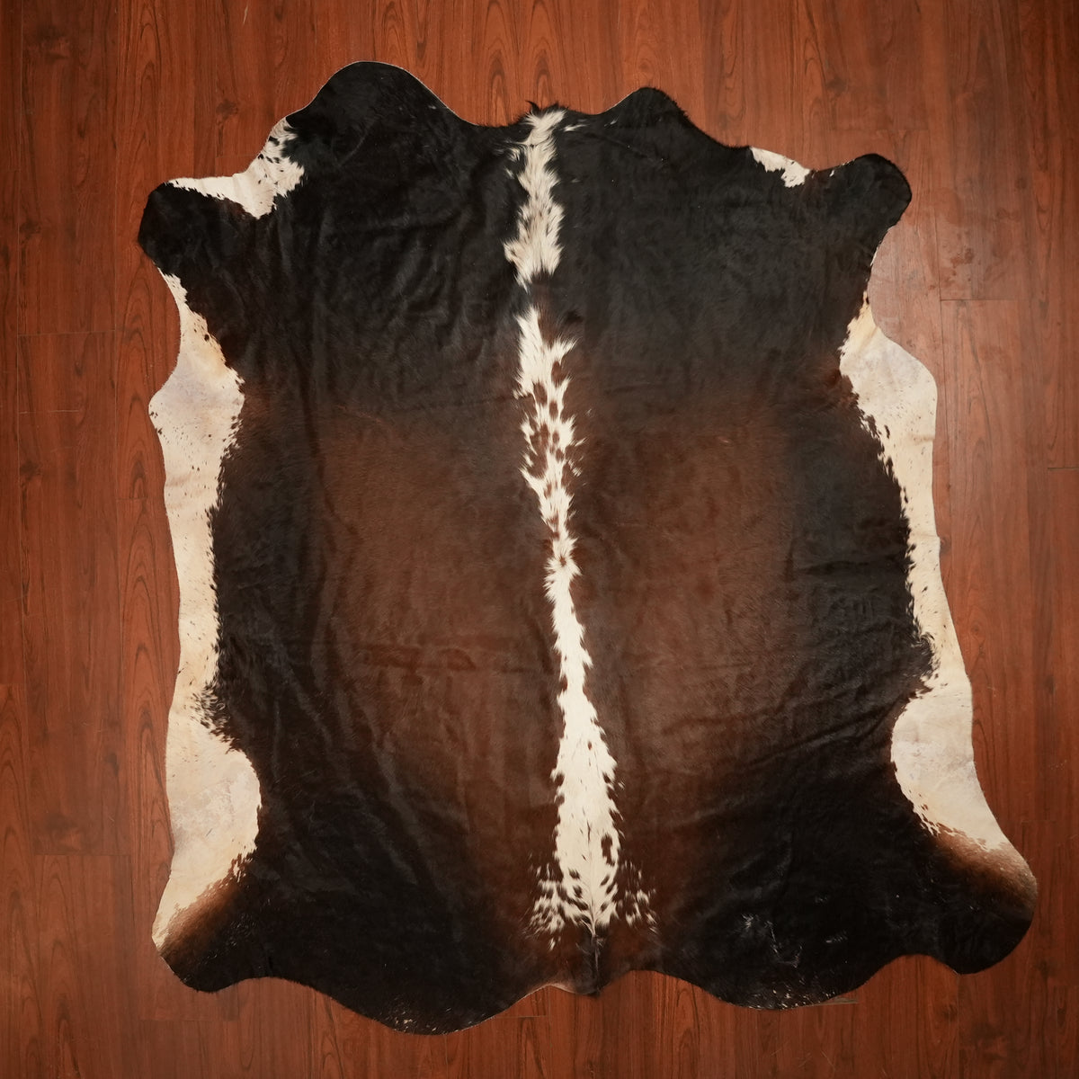 Nguni hide rug in spine-striped tri-colour, 227 x 207 cm, genuine Nguni cow hide