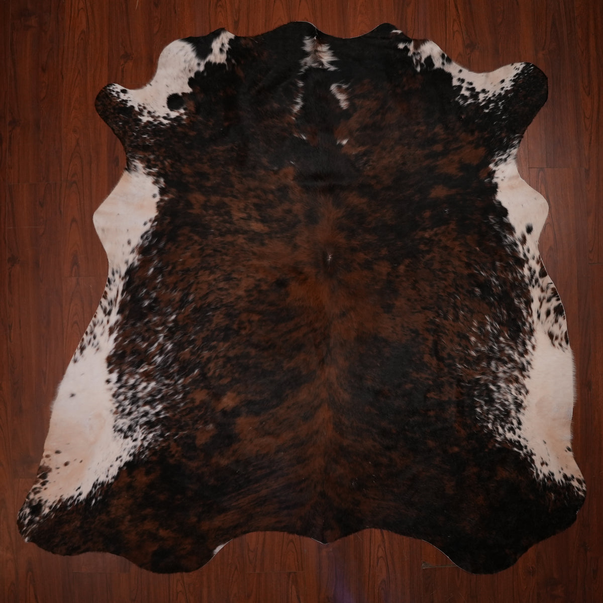 Nguni hide rug in dark mottled tri-colour, 233 x 233 cm, genuine Nguni cow hide