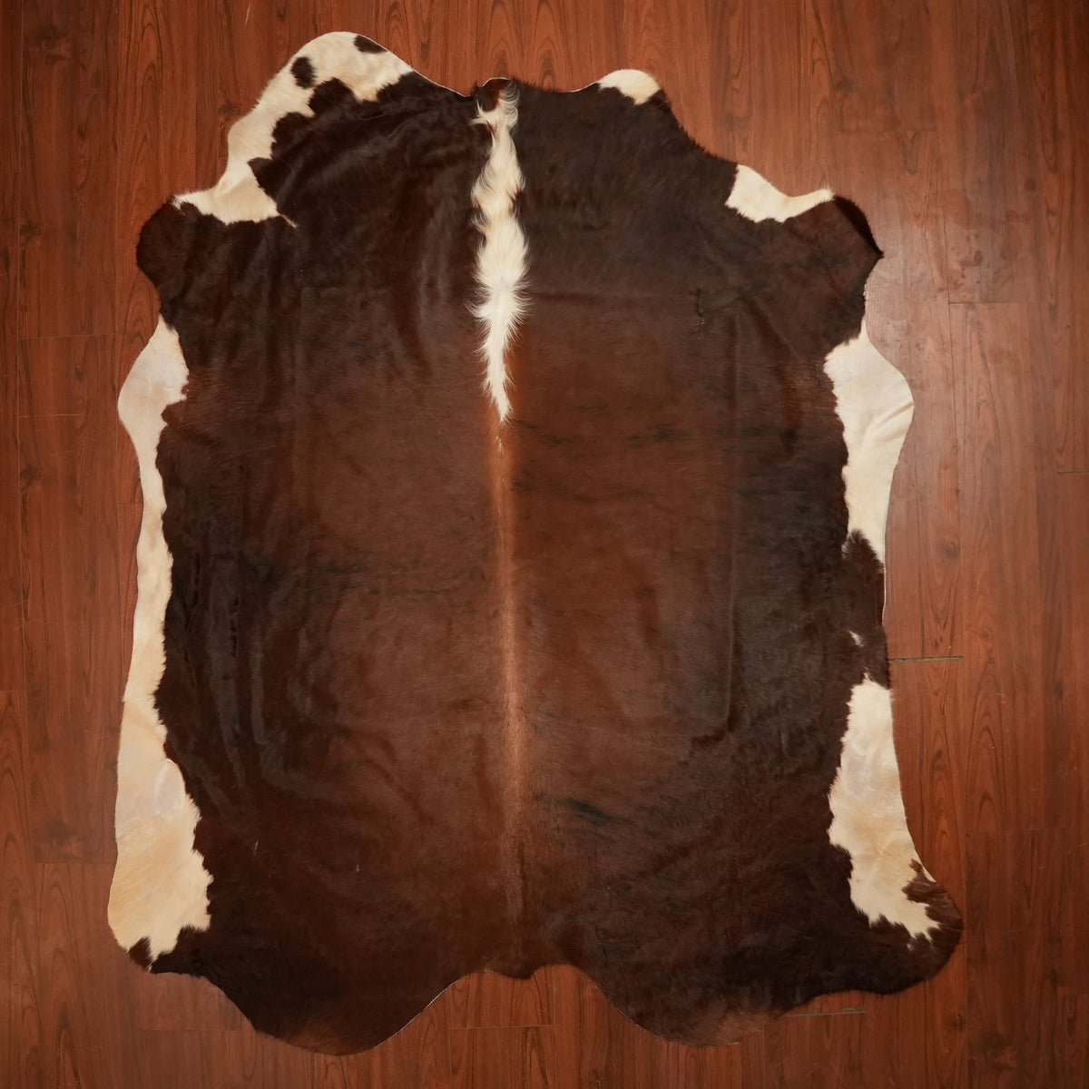 Nguni hide rug in dark chocolate tri-colour, 238 x 199 cm, genuine Nguni cow hide