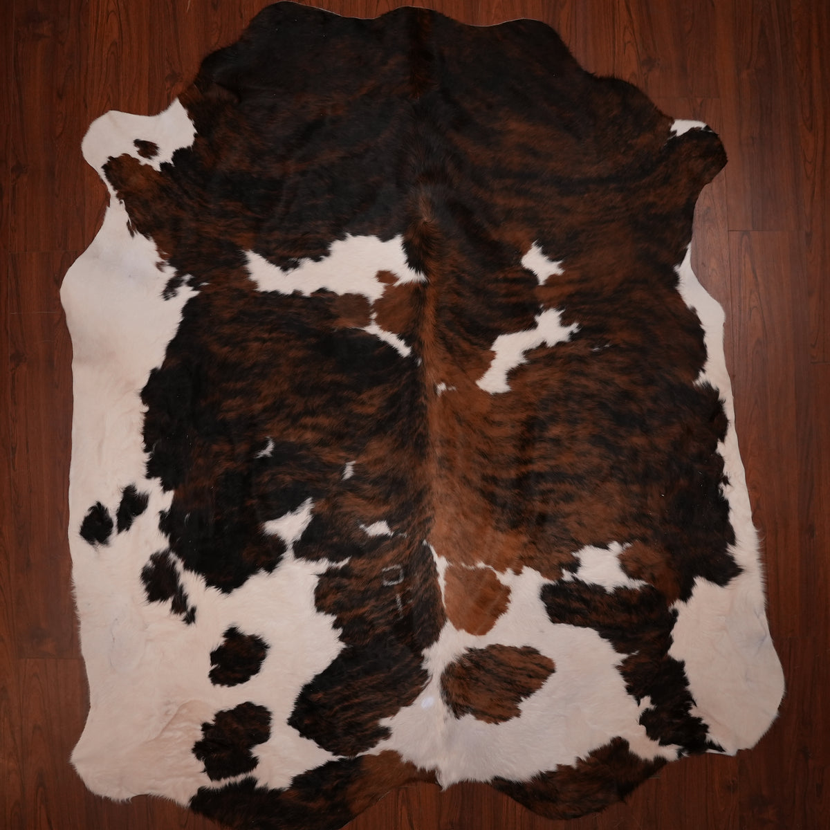 Nguni hide rug in dark brindle tri-colour, 251 x 208 cm, genuine Nguni cow hide