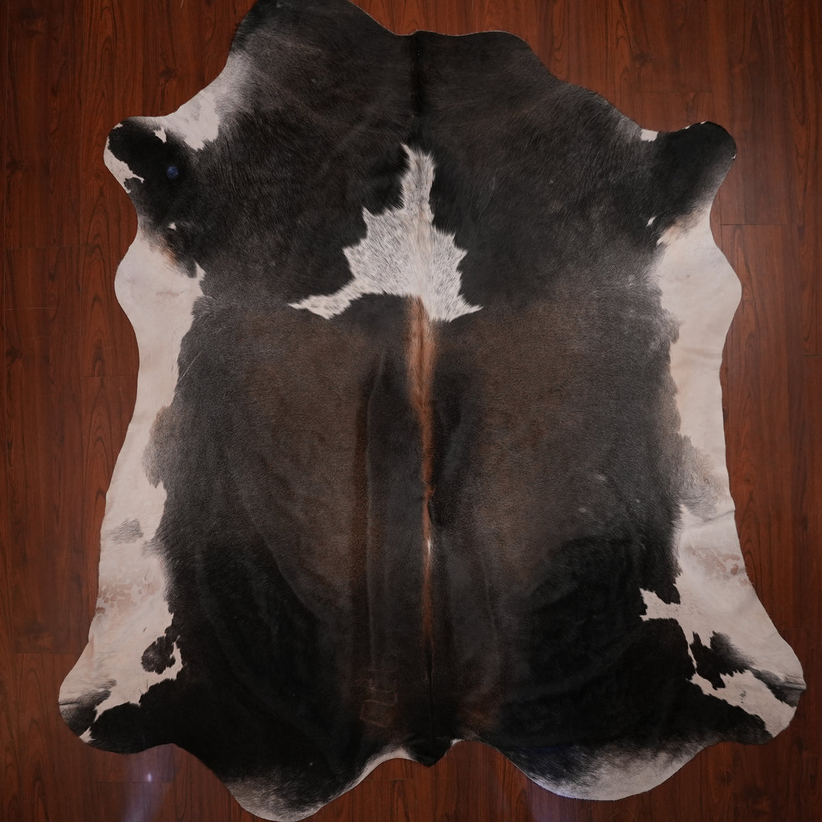 Nguni hide rug in deep charcoal tri-colour, 252 x 227 cm, genuine Nguni cow hide