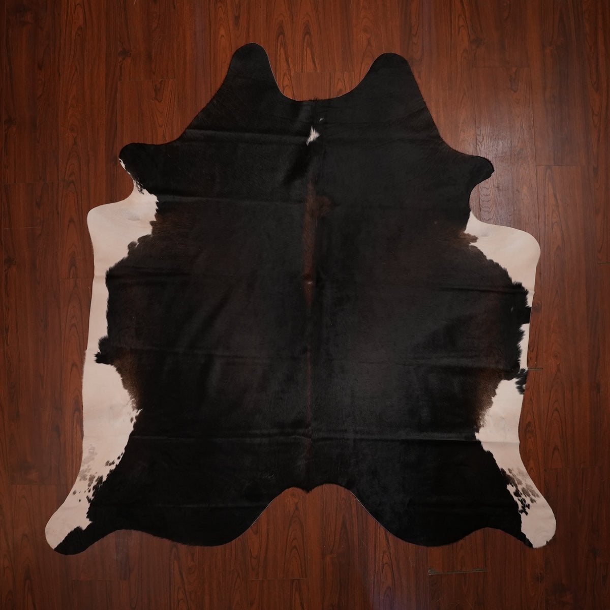 Near-Black Tri-colour cow hide rug, 201 x 207 cm, genuine cowhide