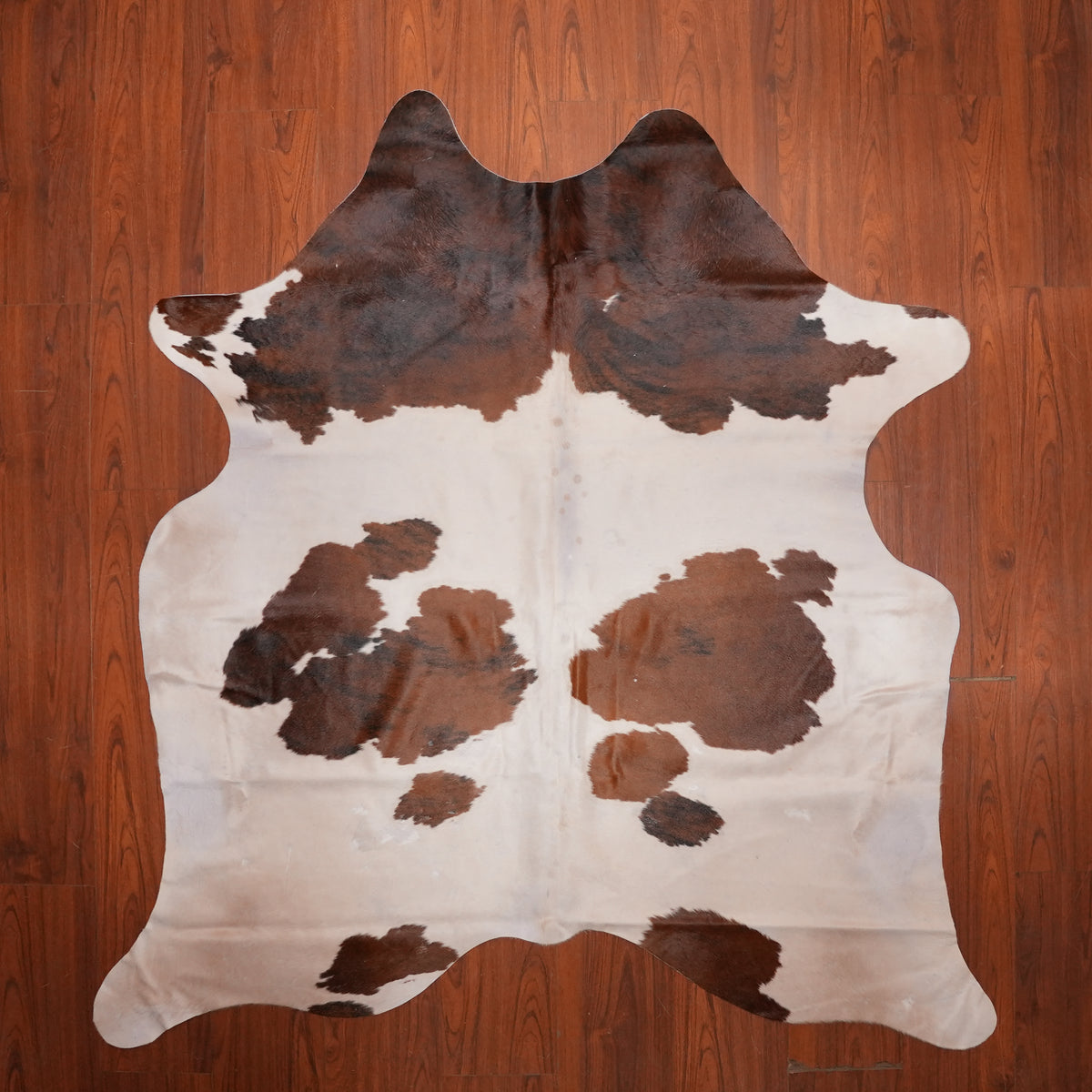 Chestnut-Patched Tri-colour cow hide rug, 209 x 188 cm, genuine cowhide