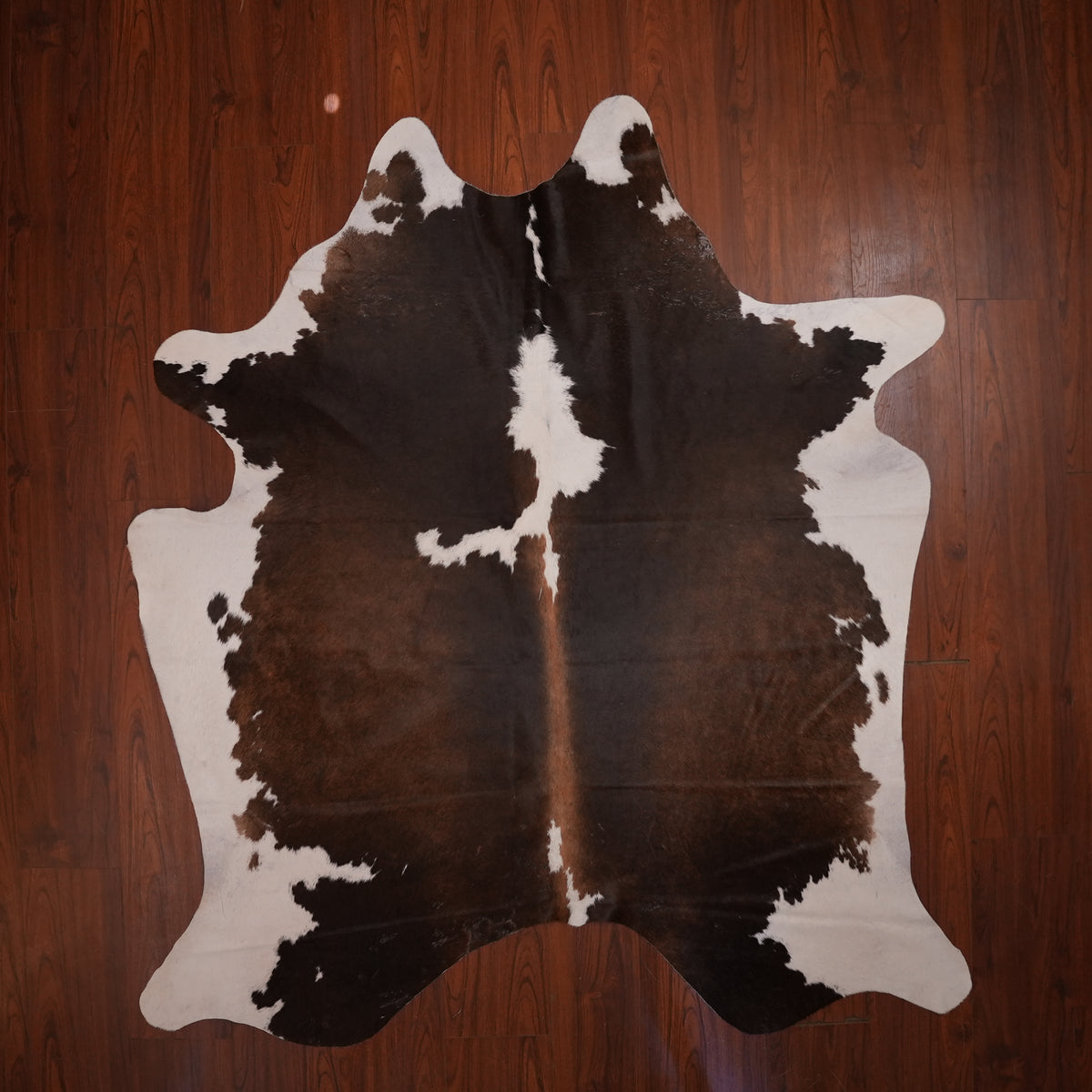 Dark Chocolate Tri-colour cow hide rug, 209 x 189 cm, genuine cowhide