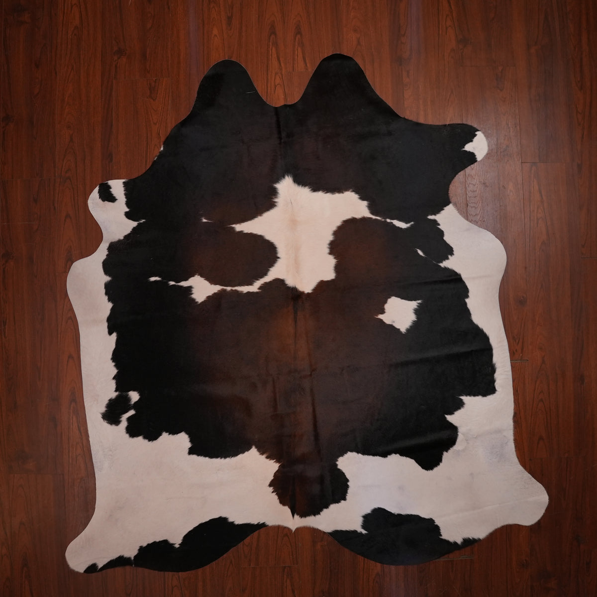 High-Contrast Tri-colour cow hide rug, 211 x 200 cm, genuine cowhide