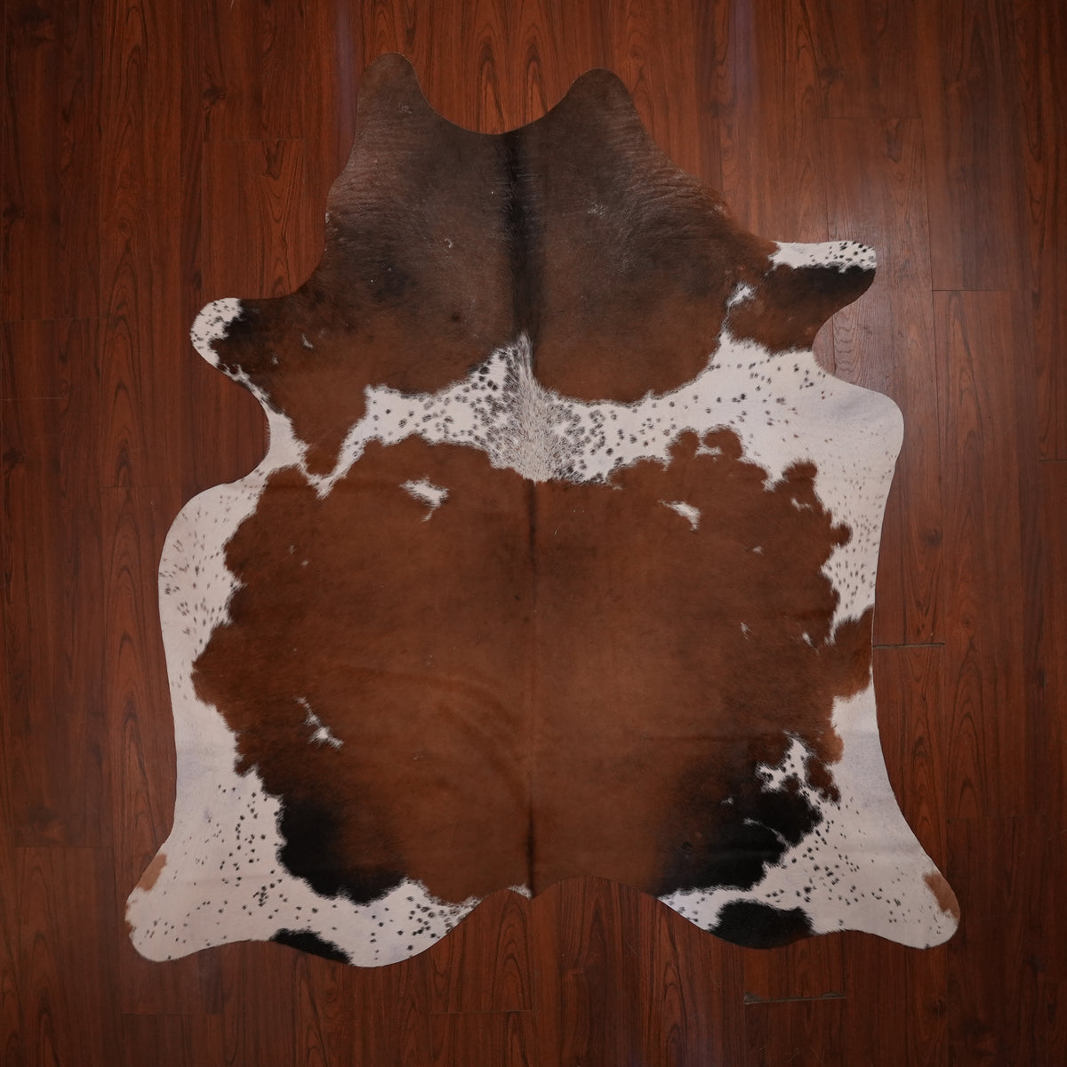 Rich Chestnut Tri-colour cow hide rug, 213 x 195 cm, genuine cowhide