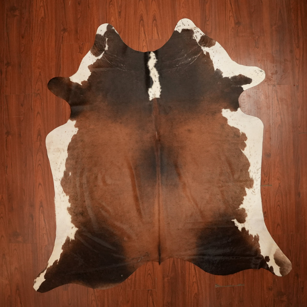 Rich Chestnut Tri-colour cow hide rug, 215 x 214 cm, genuine cowhide