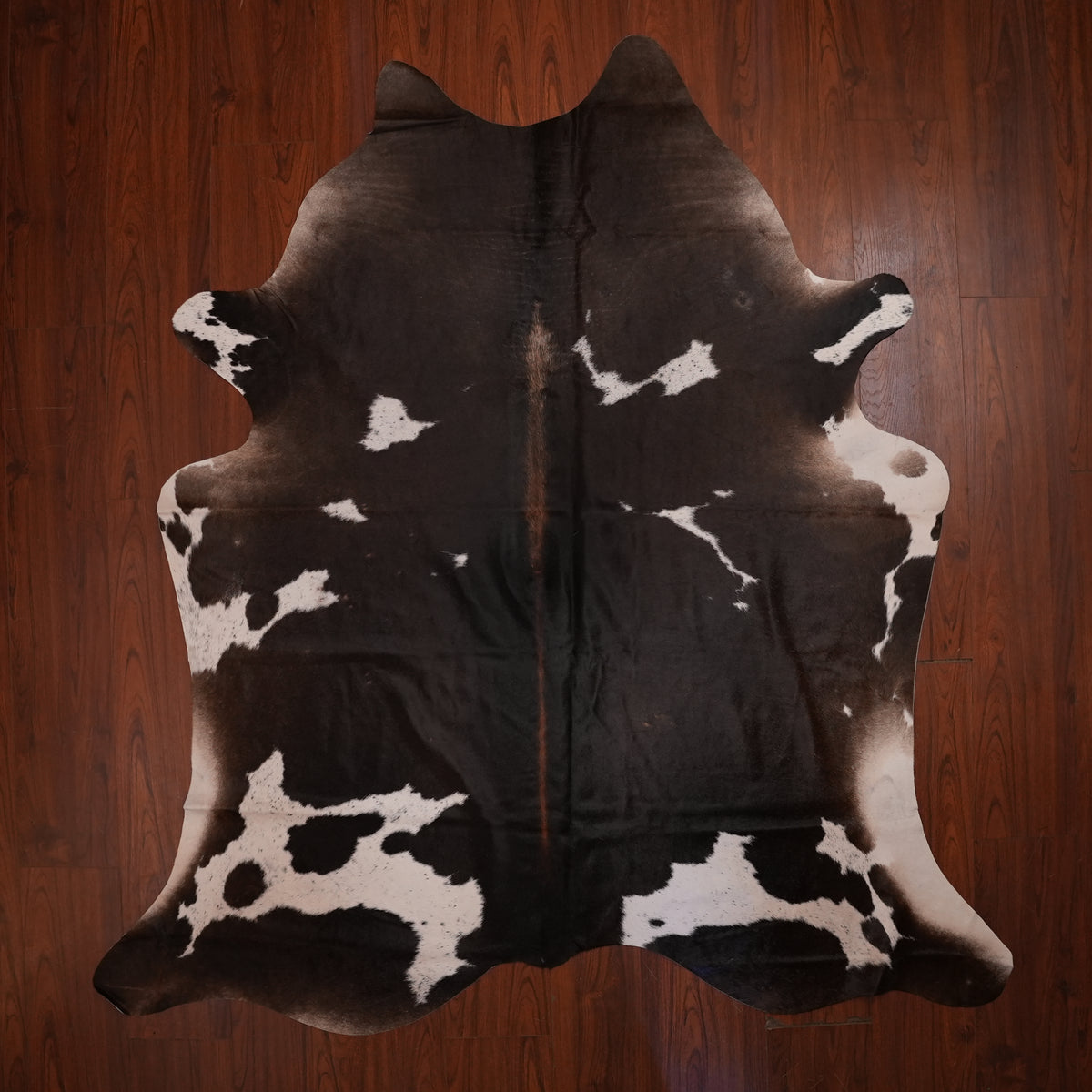Dark Chocolate Tri-colour cow hide rug, 222 x 209 cm, genuine cowhide