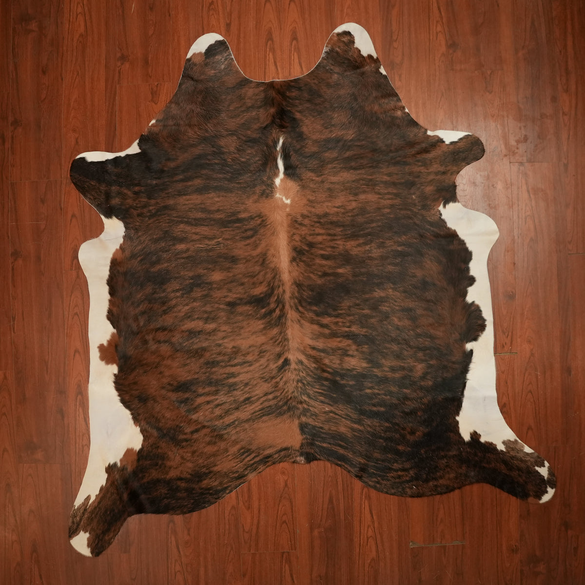Dark Brindle Tri-colour cow hide rug, 224 x 216 cm, genuine cowhide