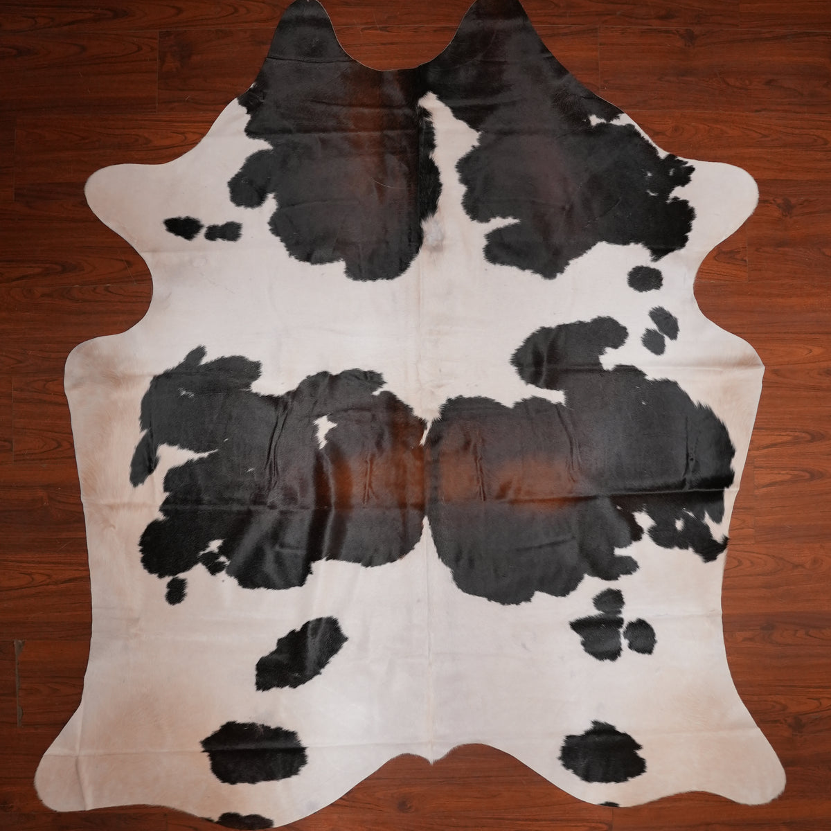 High-Contrast Tri-colour cow hide rug, 229 x 206 cm, genuine cowhide