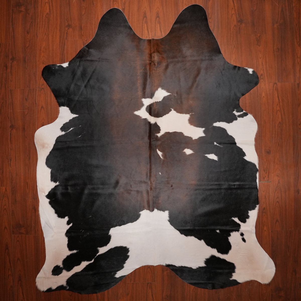 Dark Patchy Tri-colour cow hide rug, 239 x 202 cm, genuine cowhide